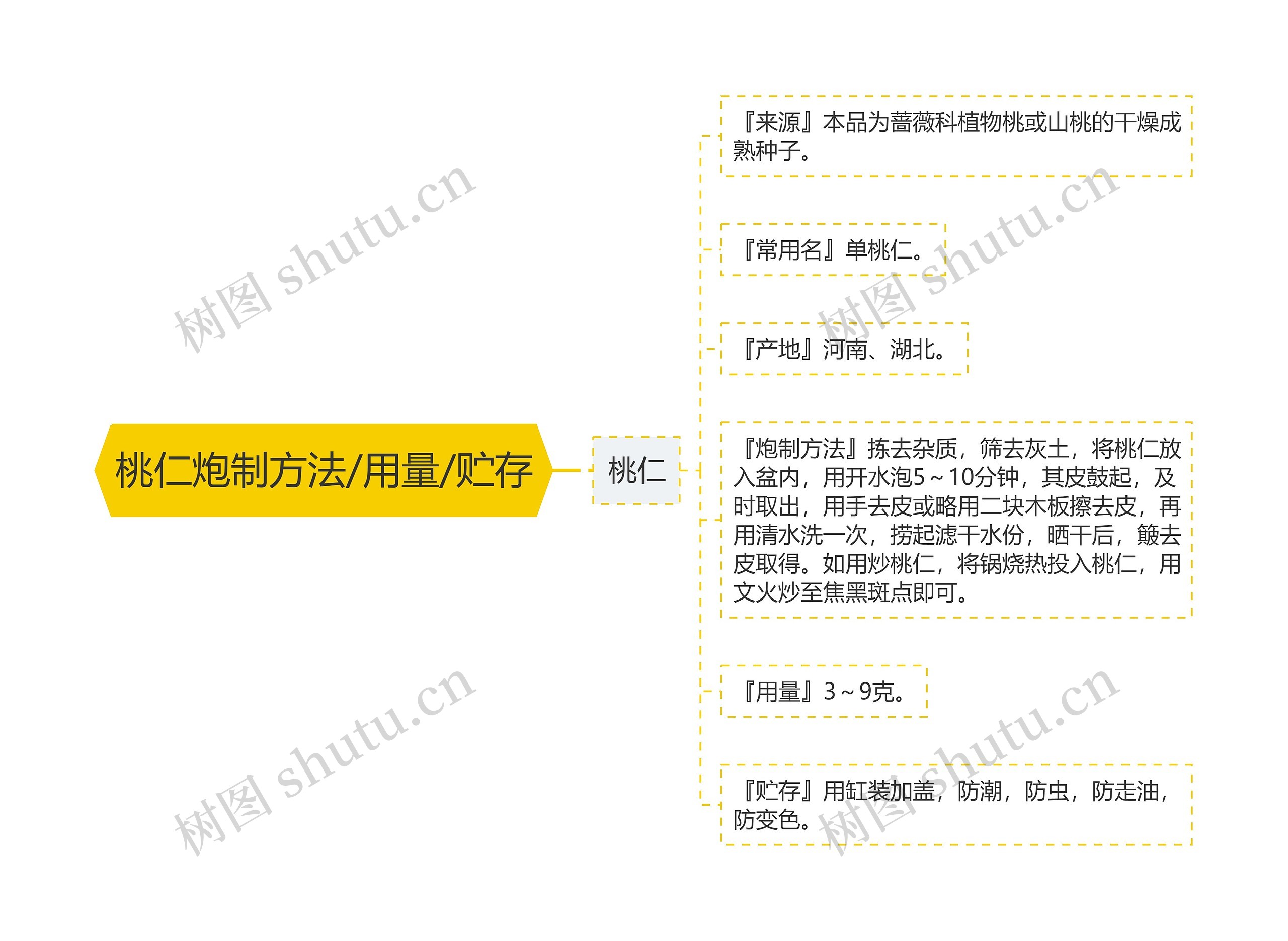 桃仁炮制方法/用量/贮存思维导图