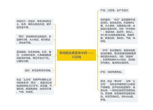 常用根及根茎类中药——川贝母