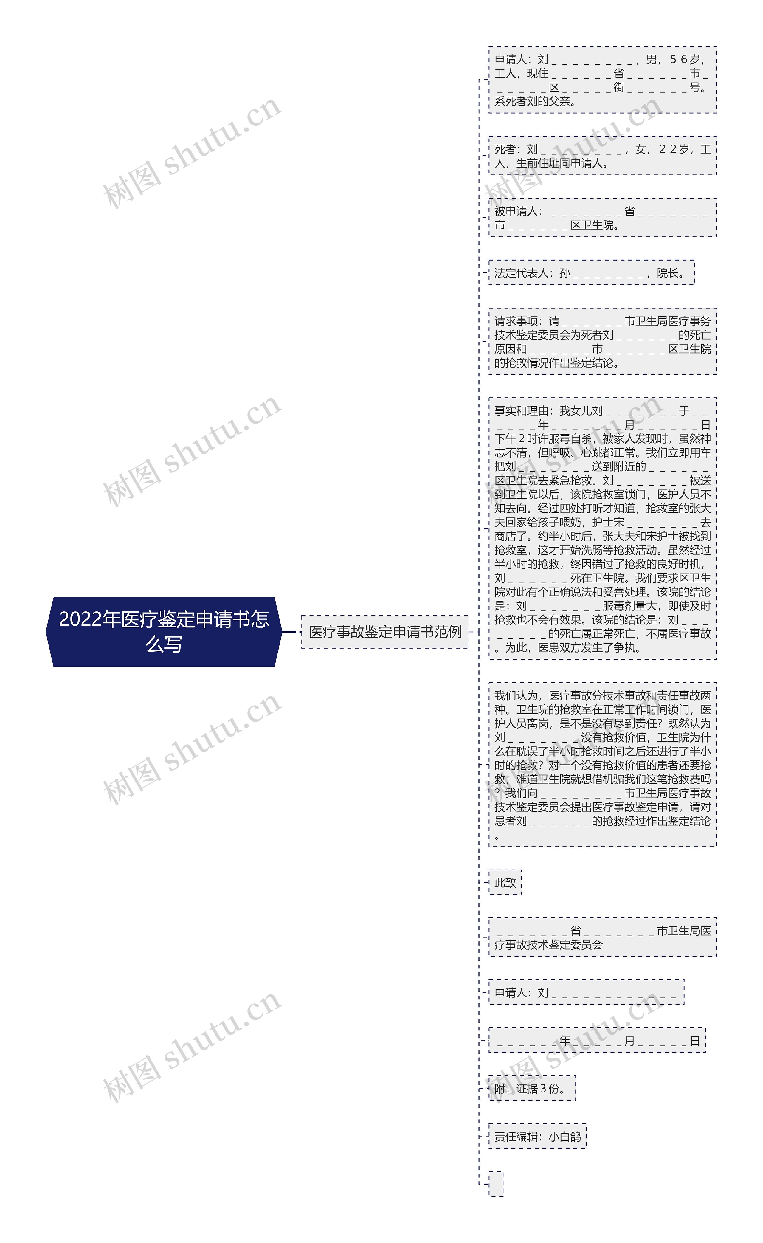 2022年医疗鉴定申请书怎么写