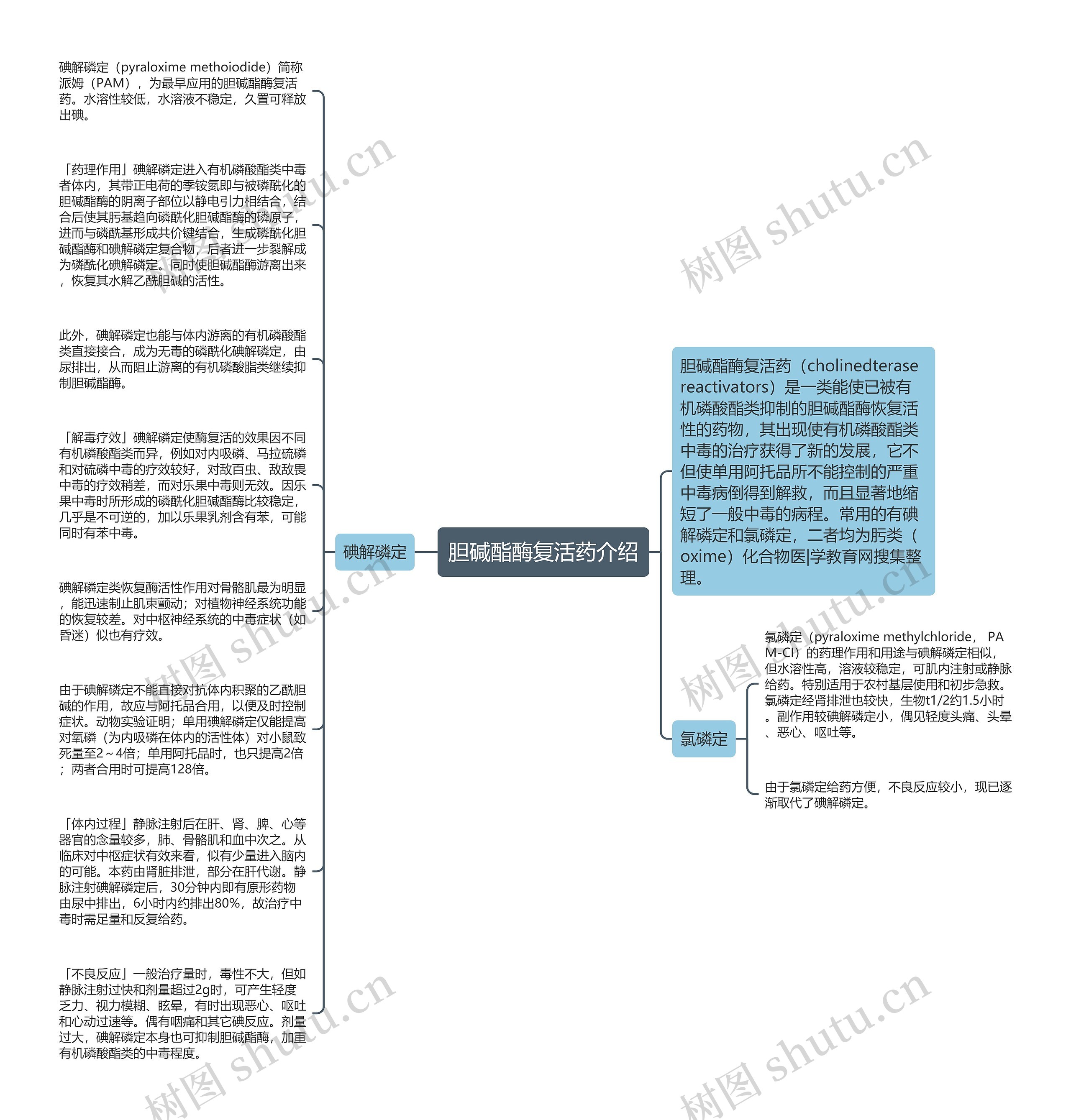 胆碱酯酶复活药介绍思维导图