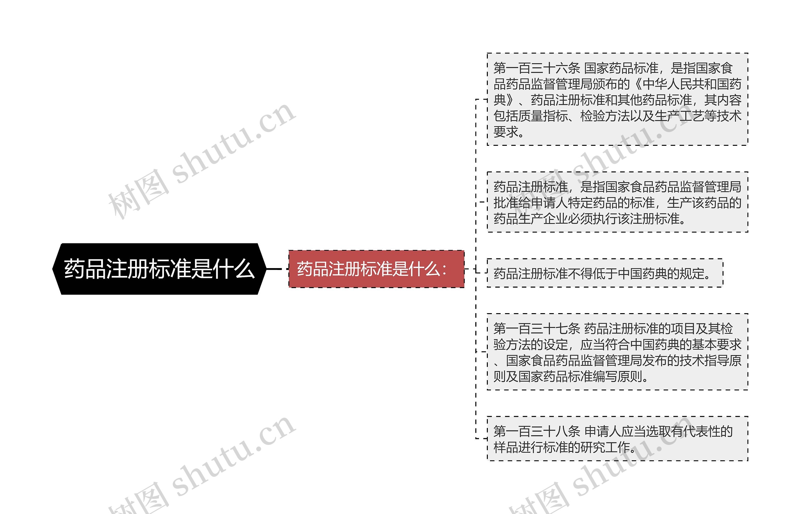 药品注册标准是什么
