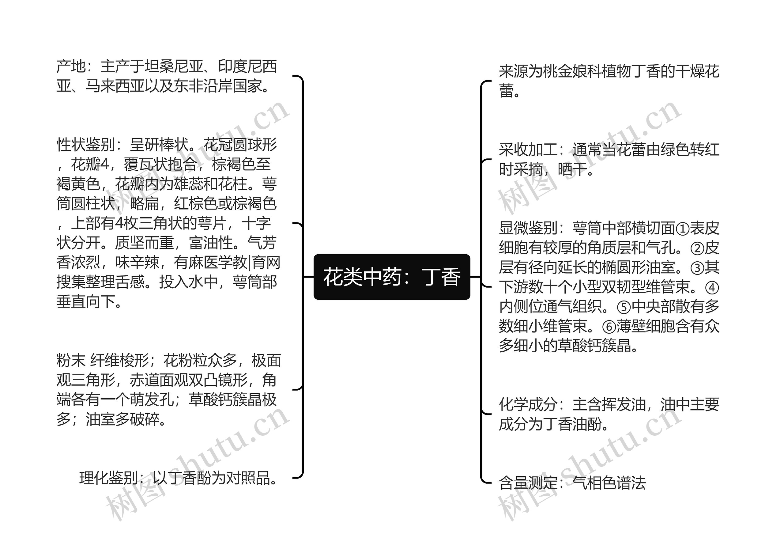 花类中药：丁香思维导图