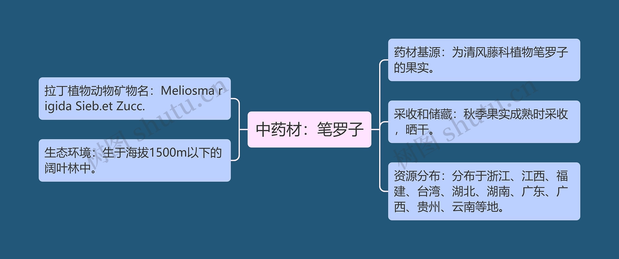 中药材：笔罗子思维导图