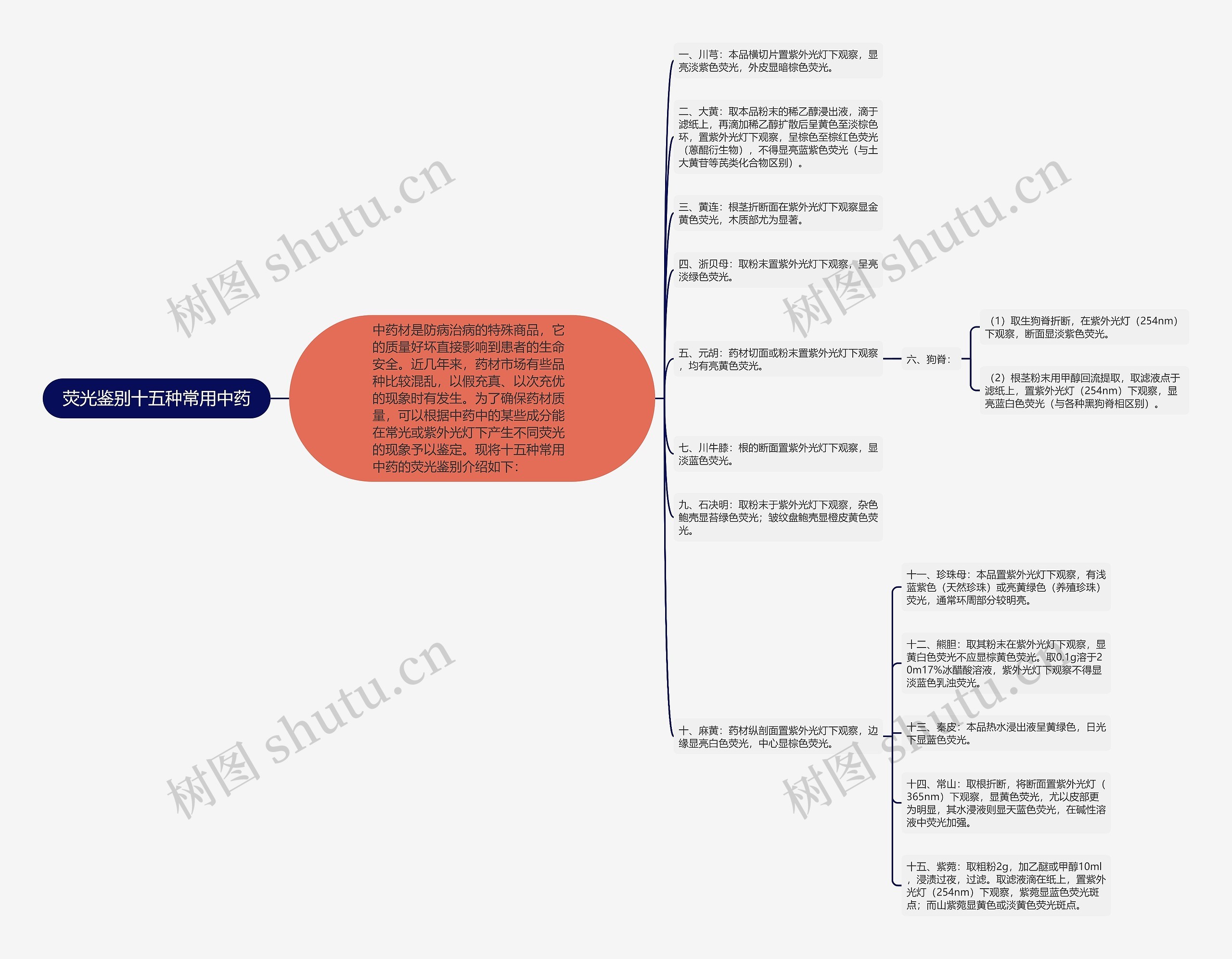荧光鉴别十五种常用中药思维导图