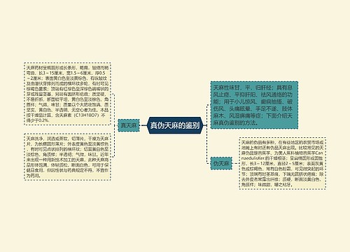 真伪天麻的鉴别