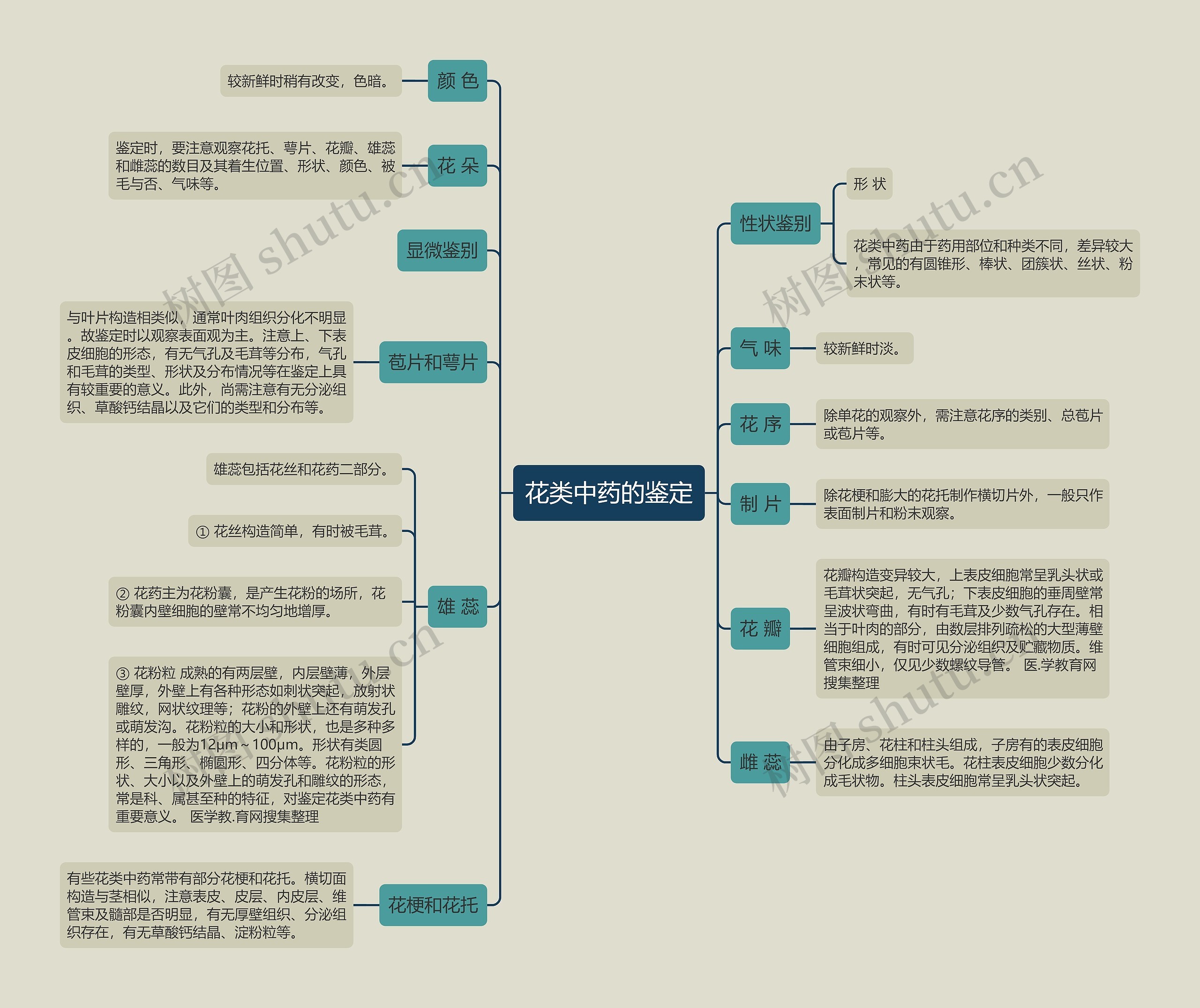 花类中药的鉴定思维导图