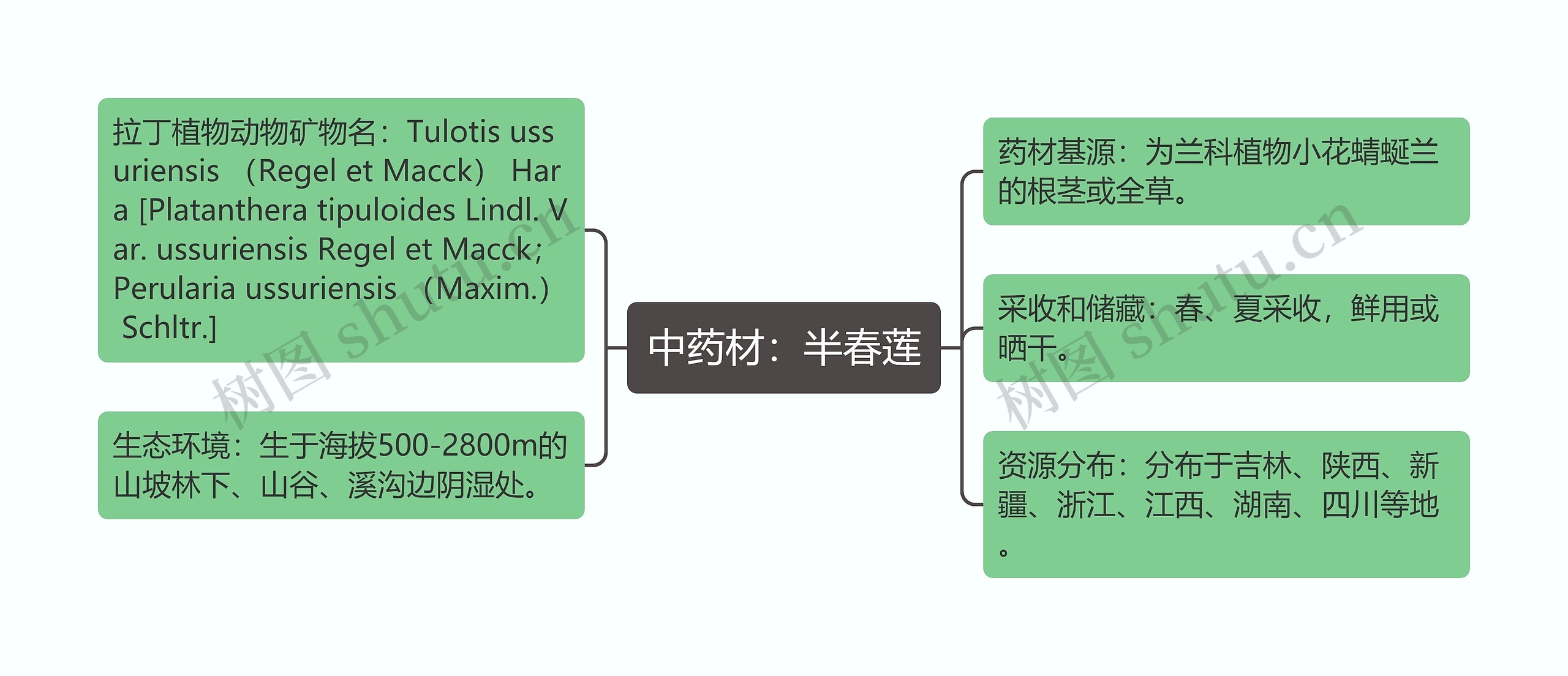 中药材：半春莲思维导图