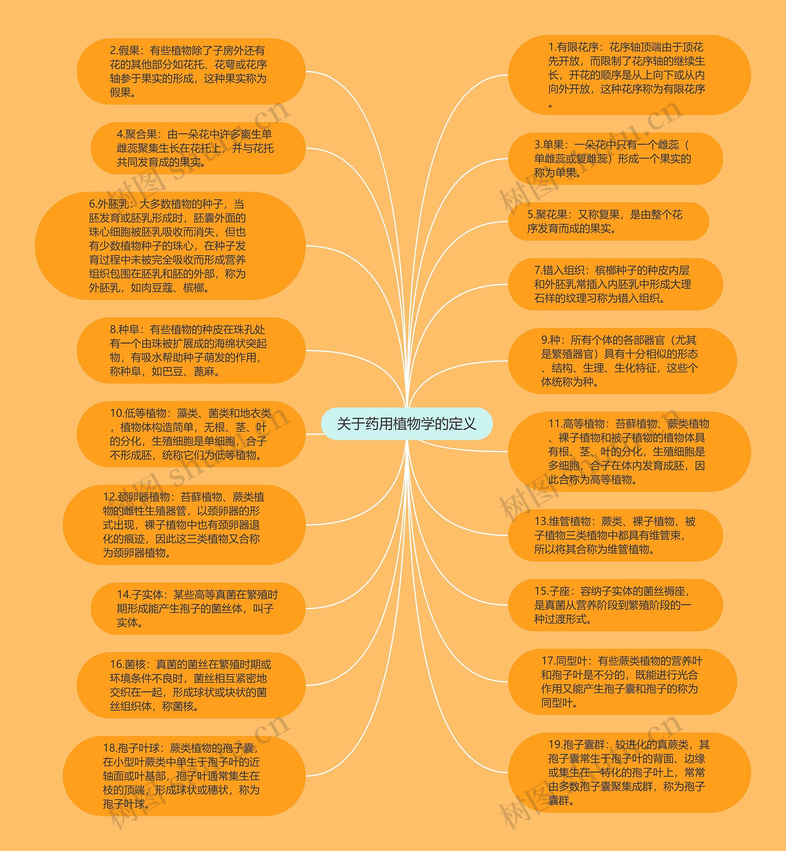 关于药用植物学的定义