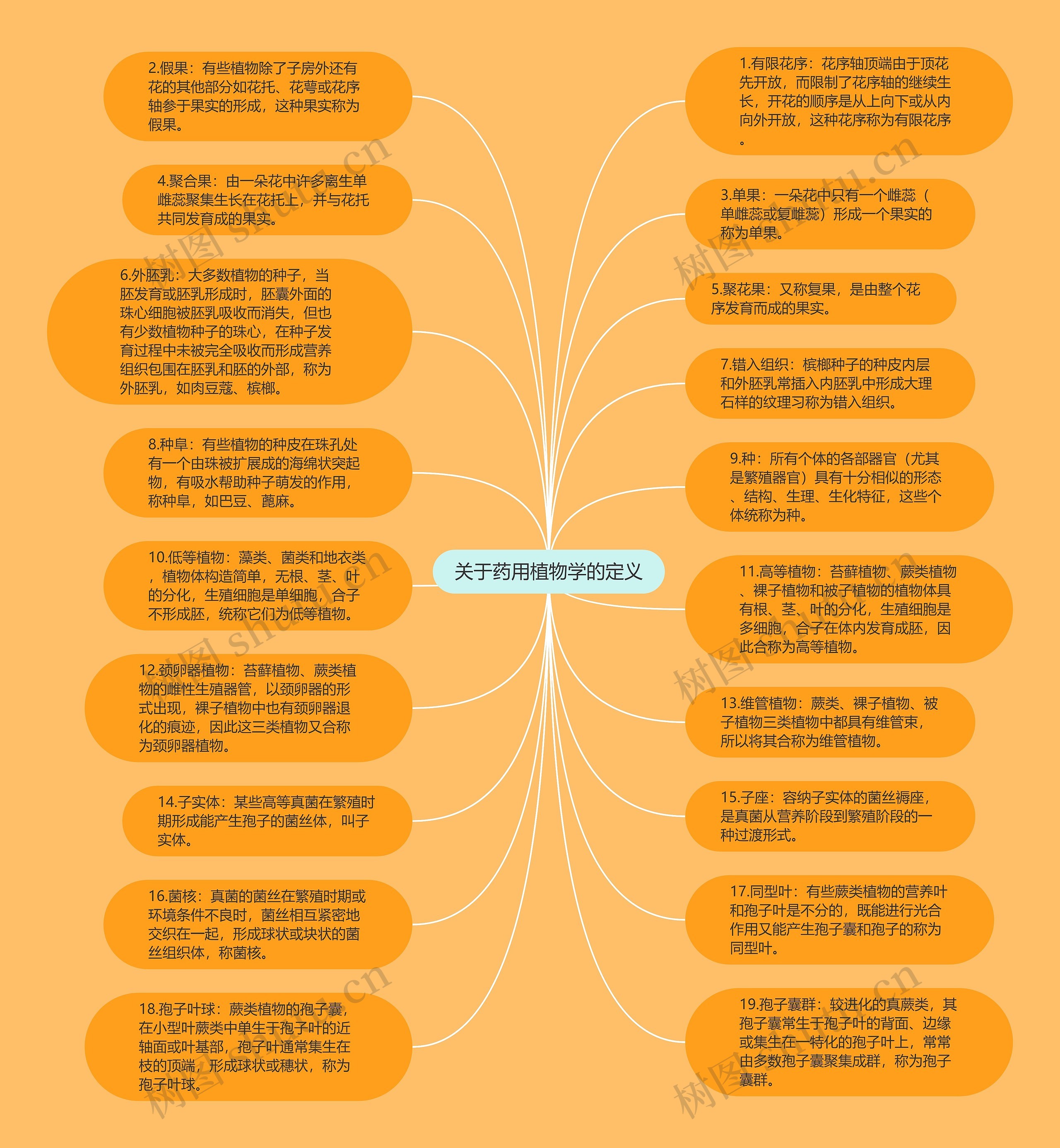 关于药用植物学的定义思维导图