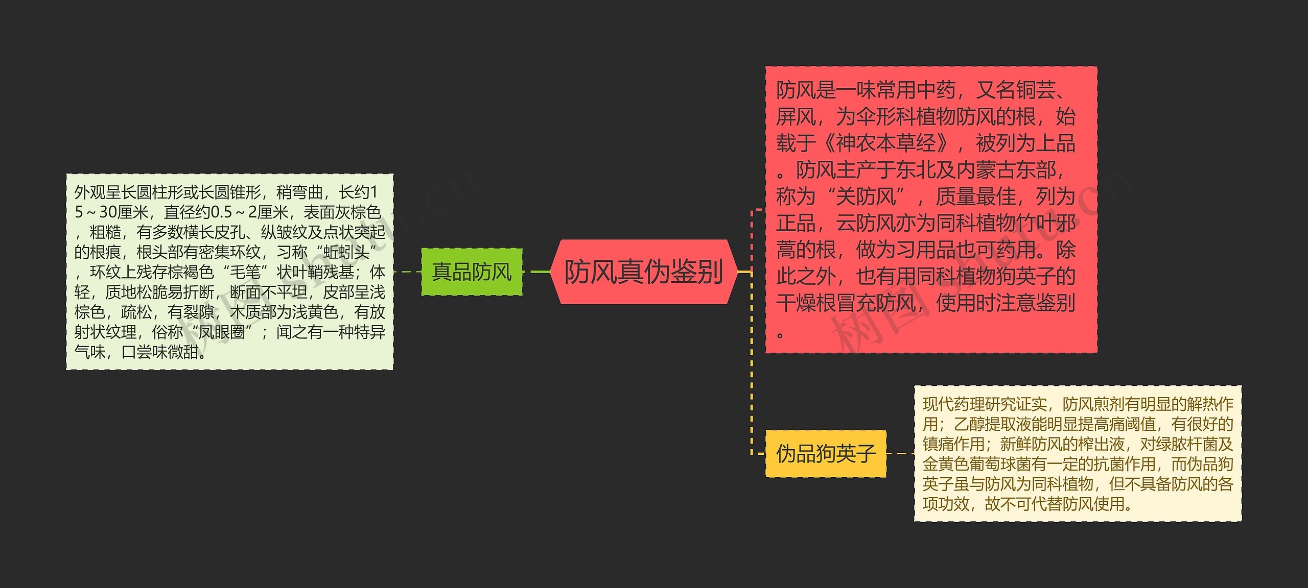 防风真伪鉴别思维导图