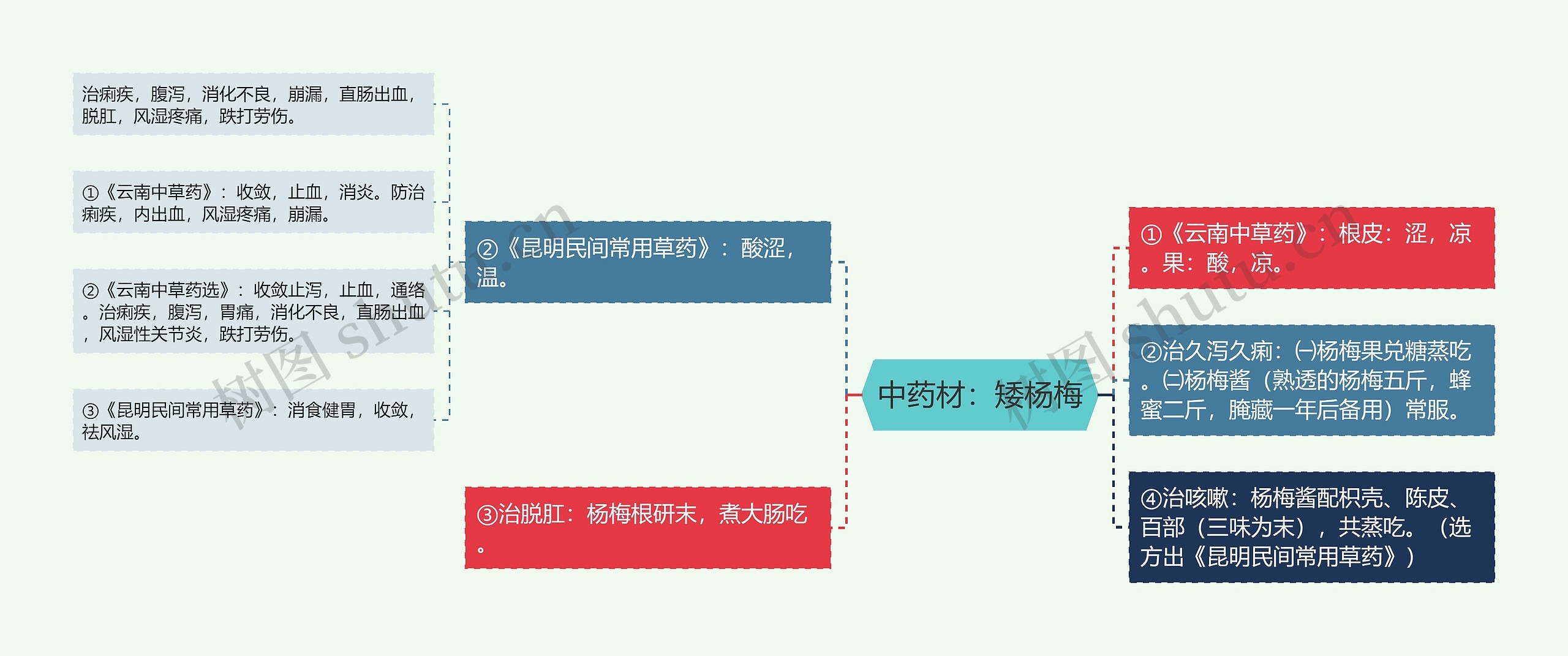 中药材：矮杨梅思维导图