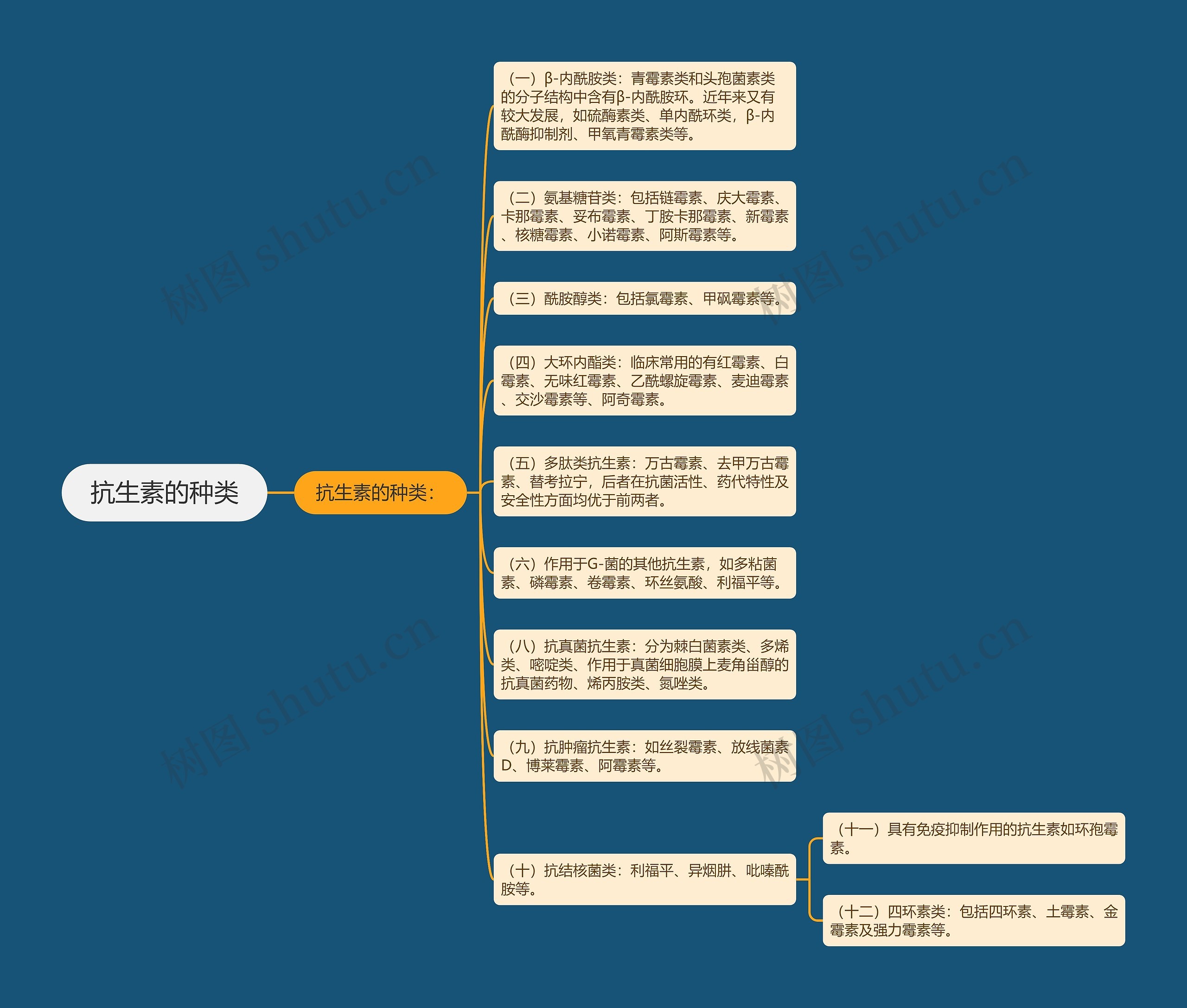 抗生素的种类思维导图