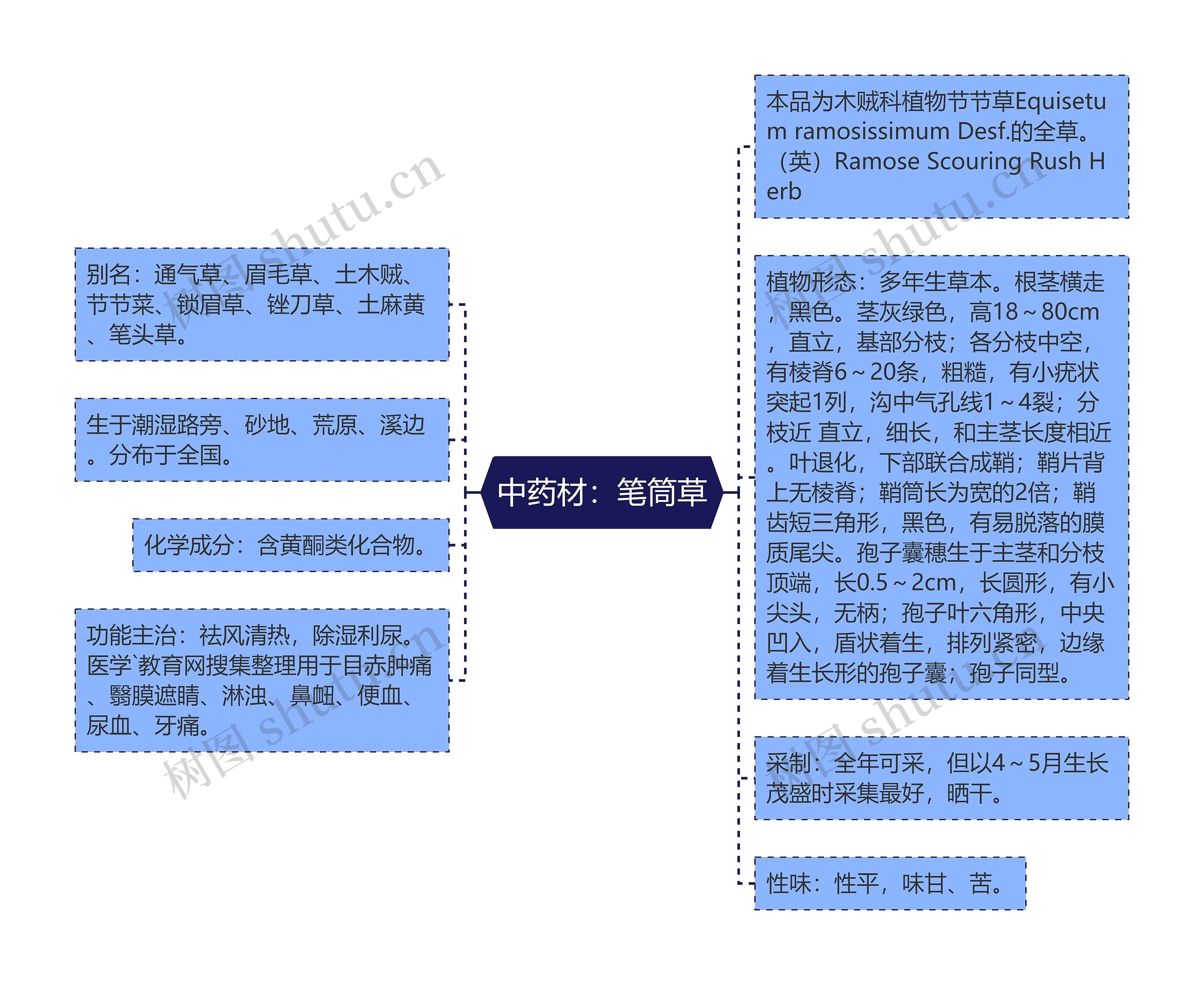 中药材：笔筒草思维导图