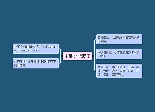 中药材：笔罗子