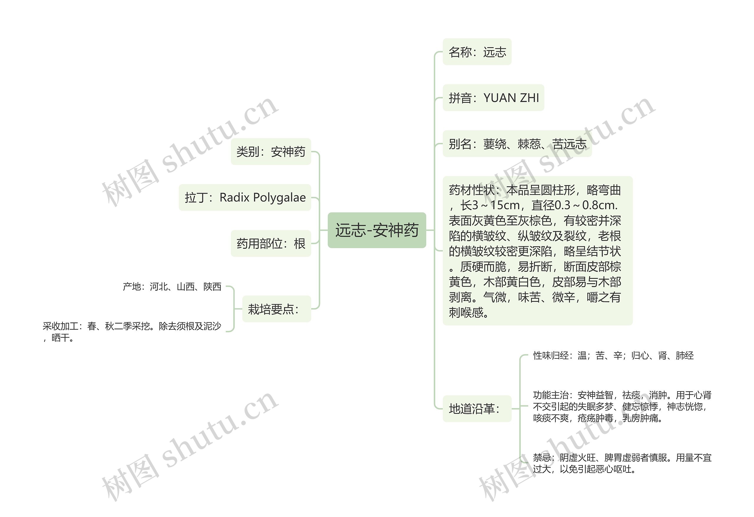 远志-安神药思维导图