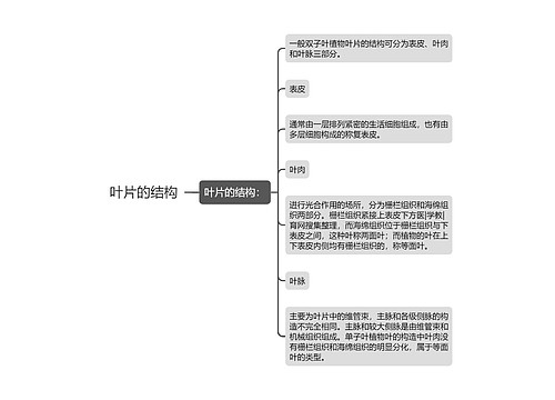 叶片的结构