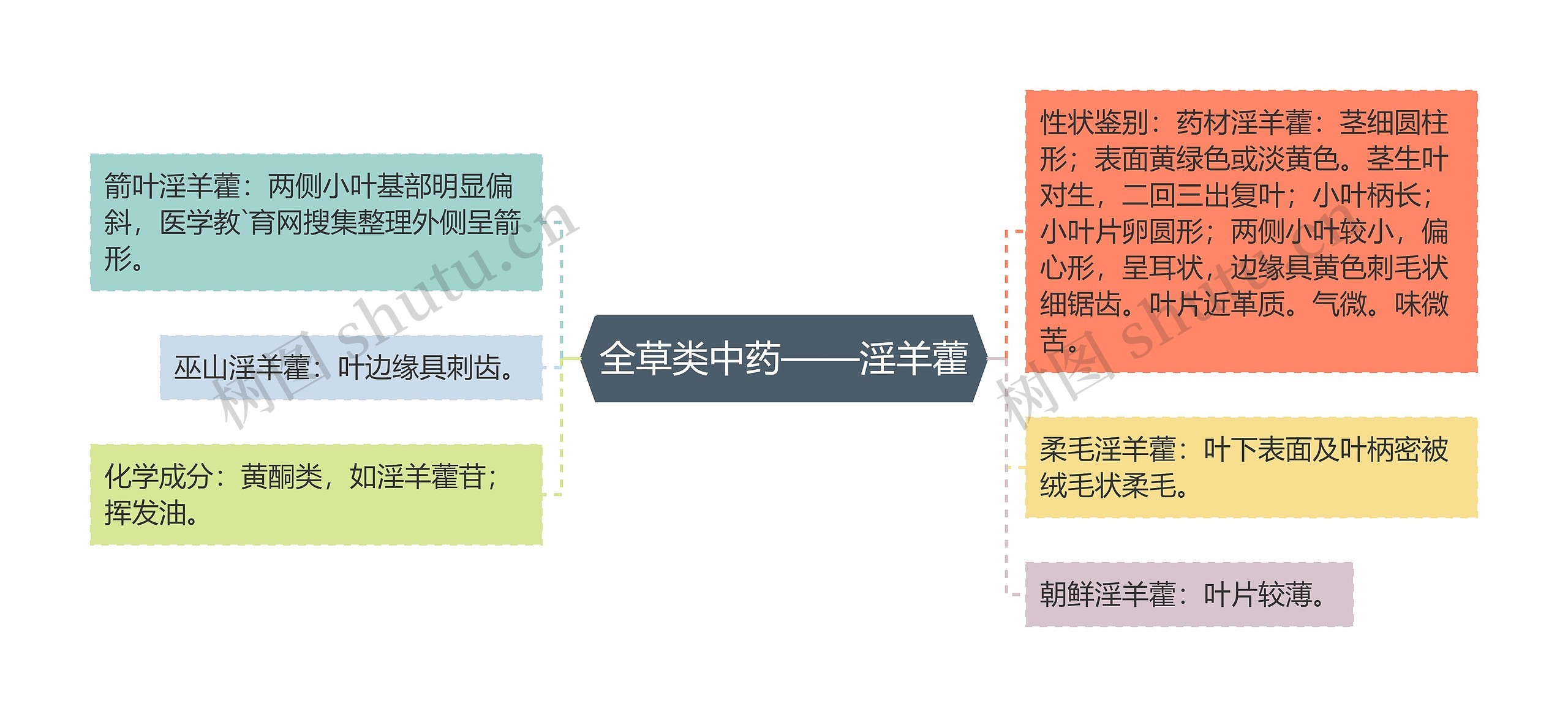 全草类中药——淫羊藿 全草类中药——淫羊藿