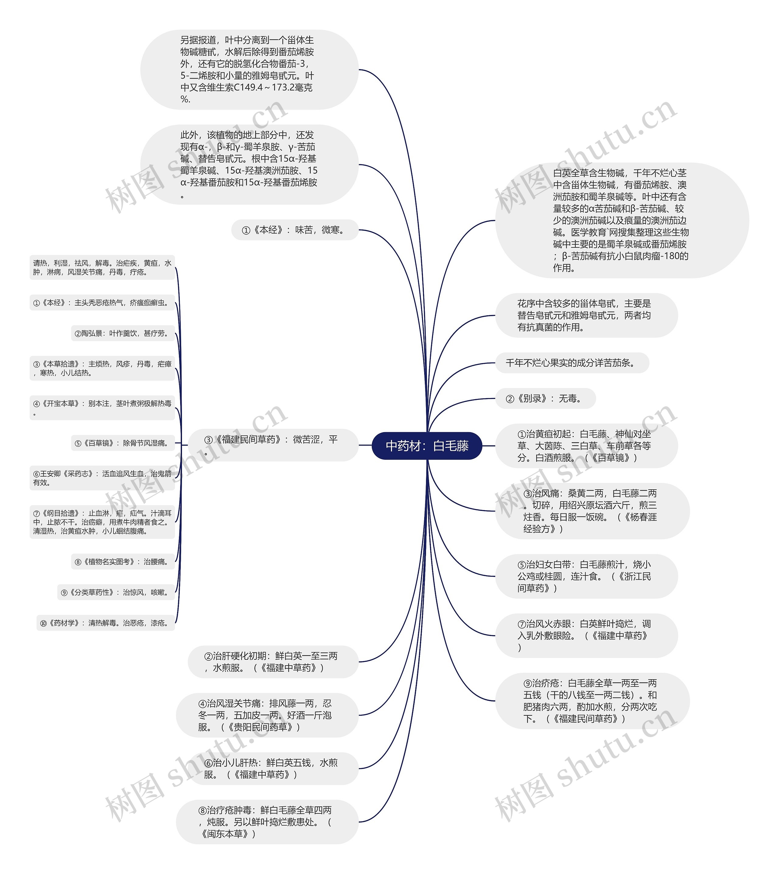 中药材：白毛藤思维导图