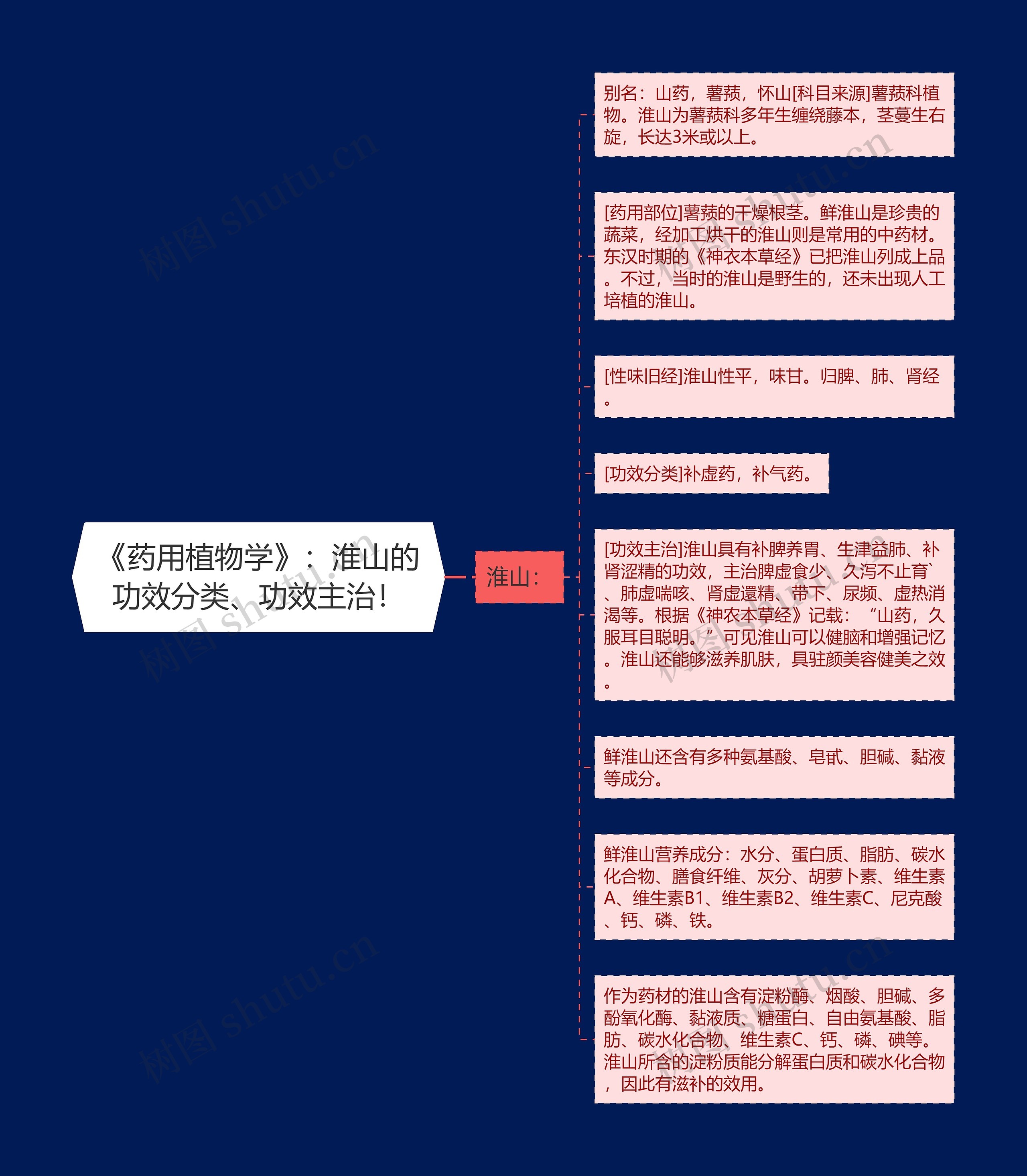 《药用植物学》：淮山的功效分类、功效主治！思维导图