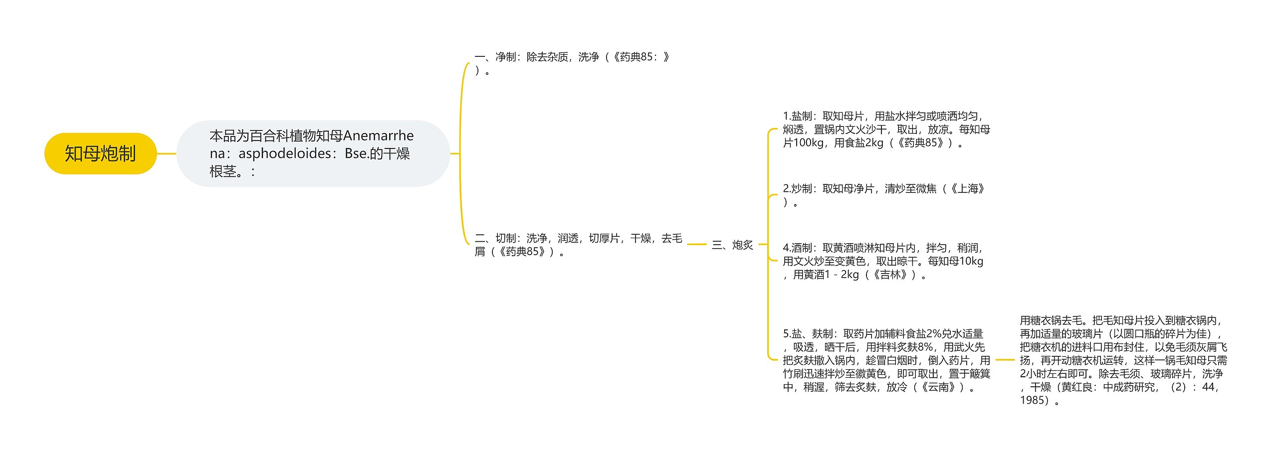 知母炮制思维导图