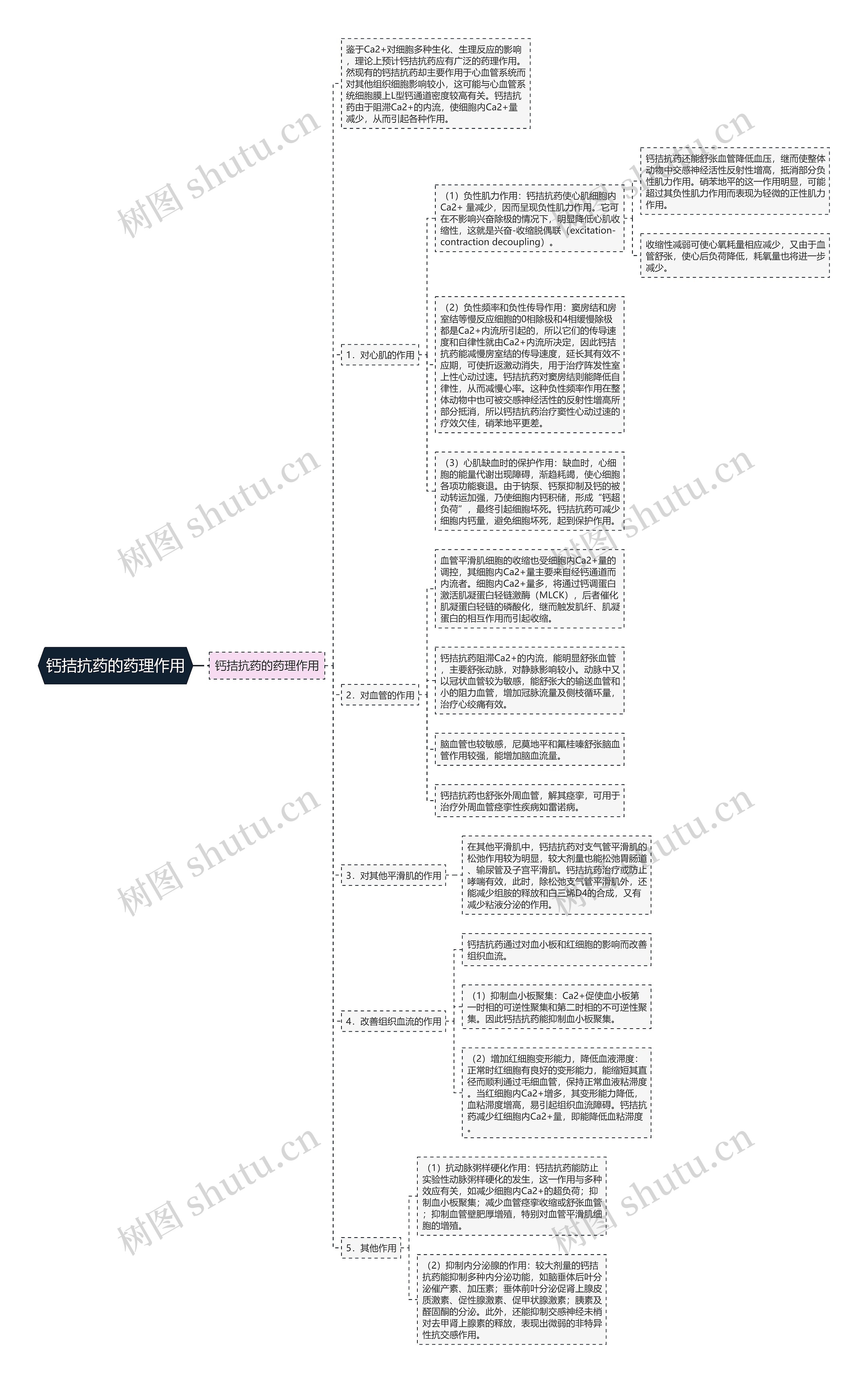 钙拮抗药的药理作用思维导图