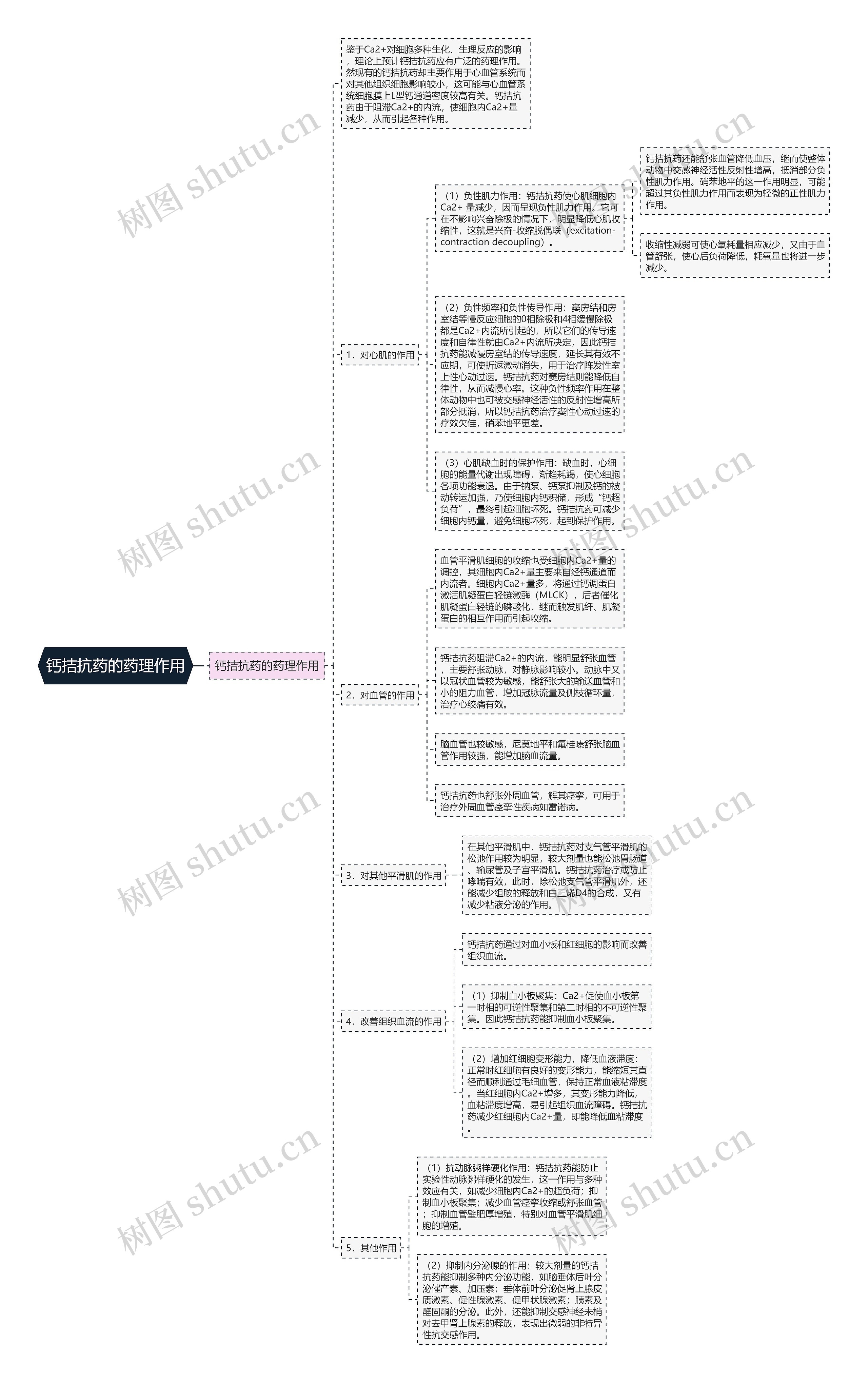 钙拮抗药的药理作用 钙拮抗药的药理作用
