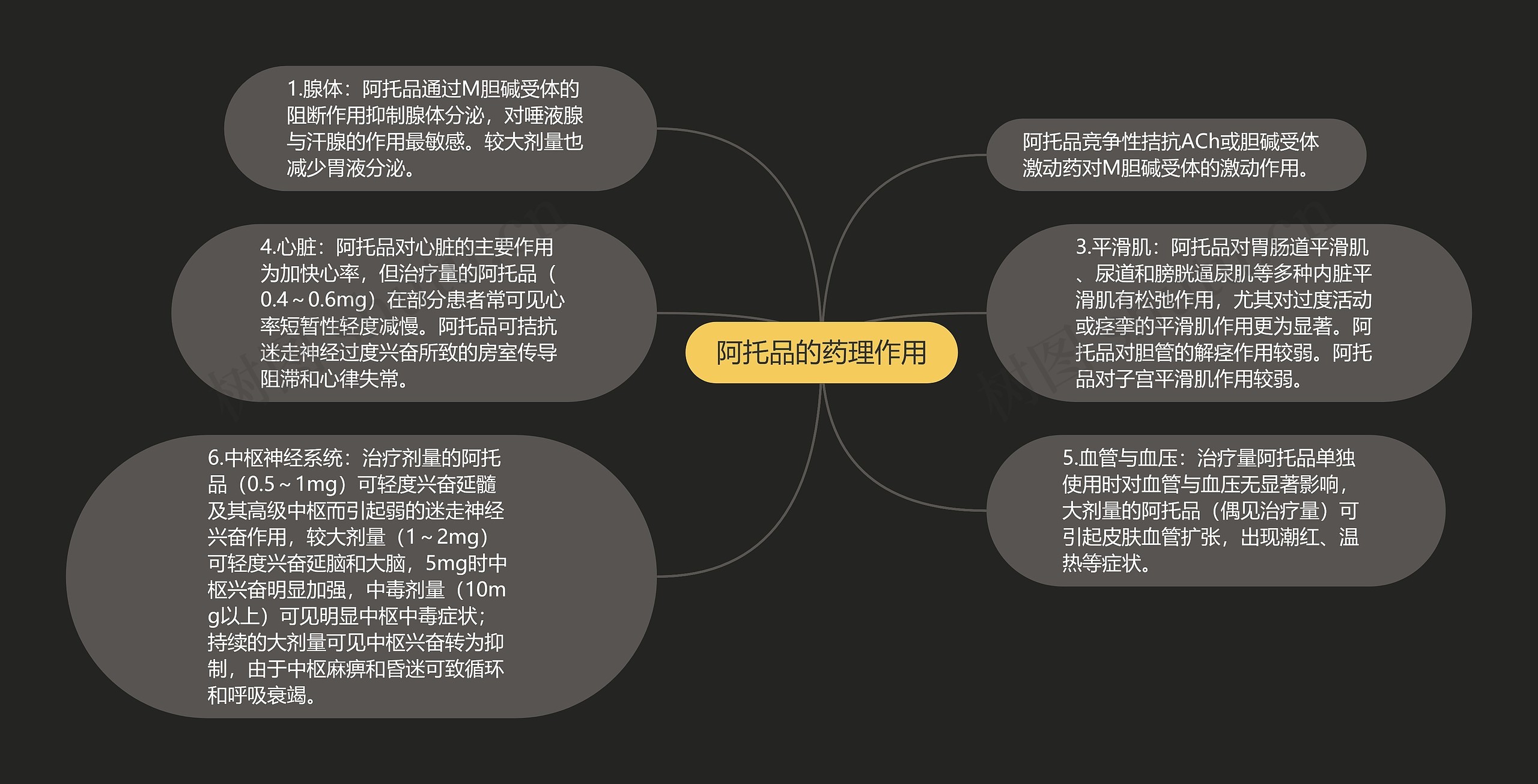 阿托品的药理作用 阿托品的药理作用