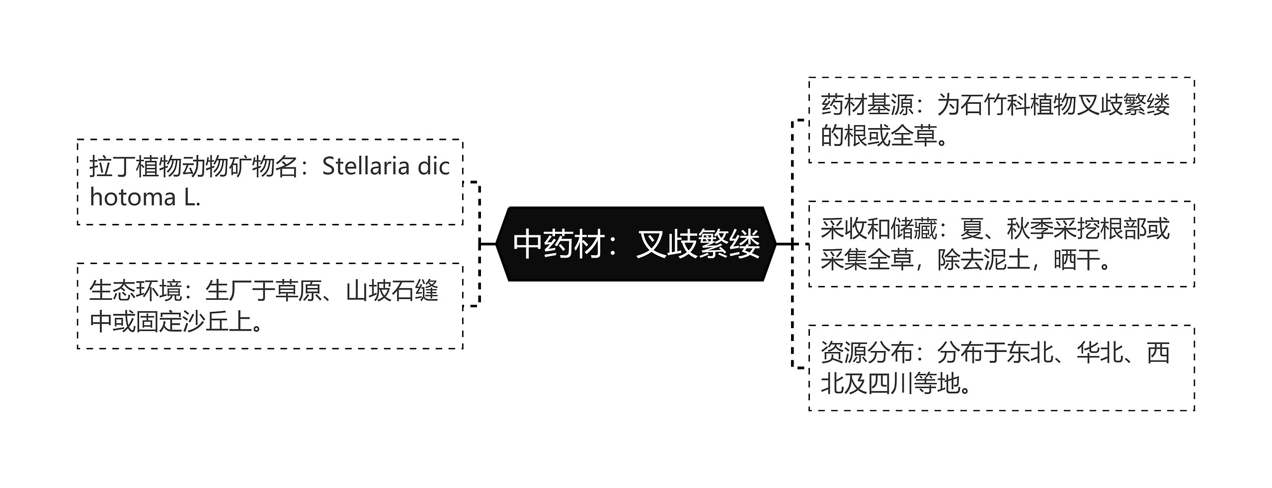 中药材：叉歧繁缕思维导图