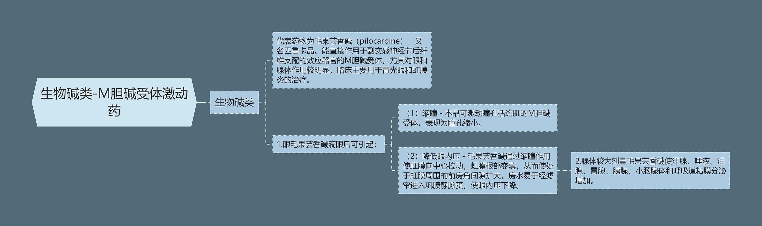 生物碱类-M胆碱受体激动药