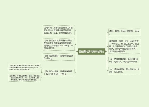 盐酸氟桂利嗪药物简介