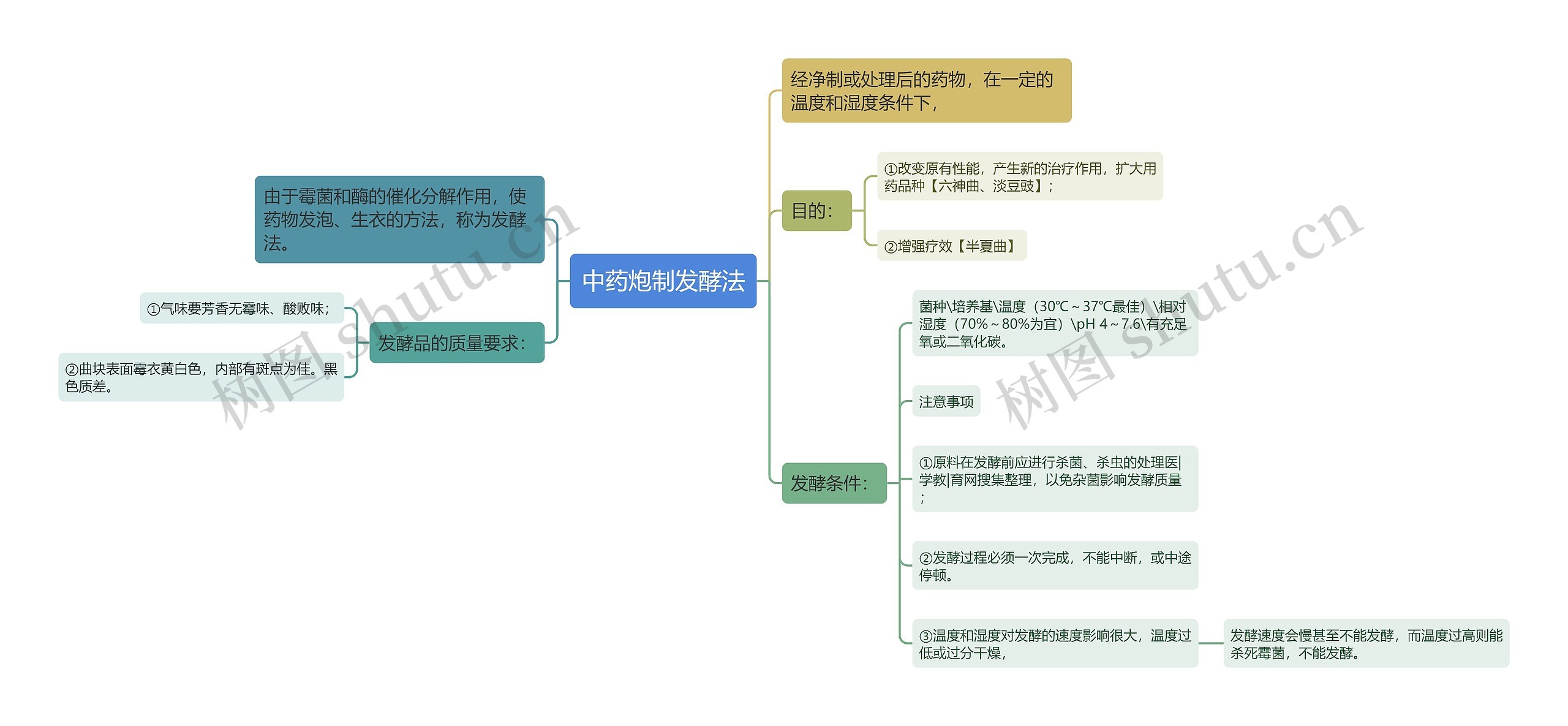 中药炮制发酵法思维导图