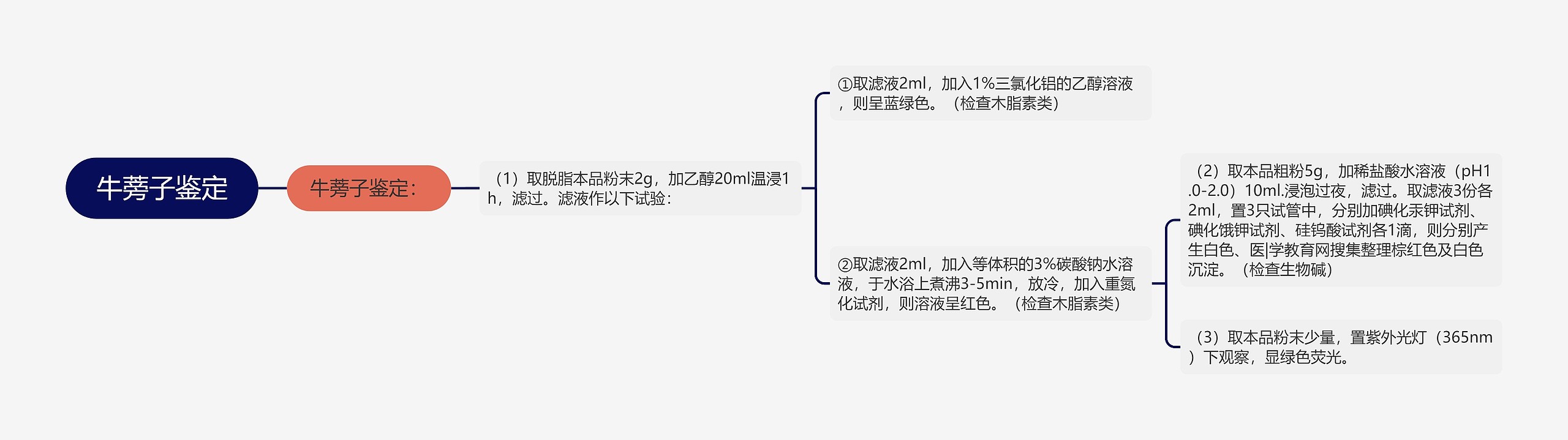 牛蒡子鉴定思维导图