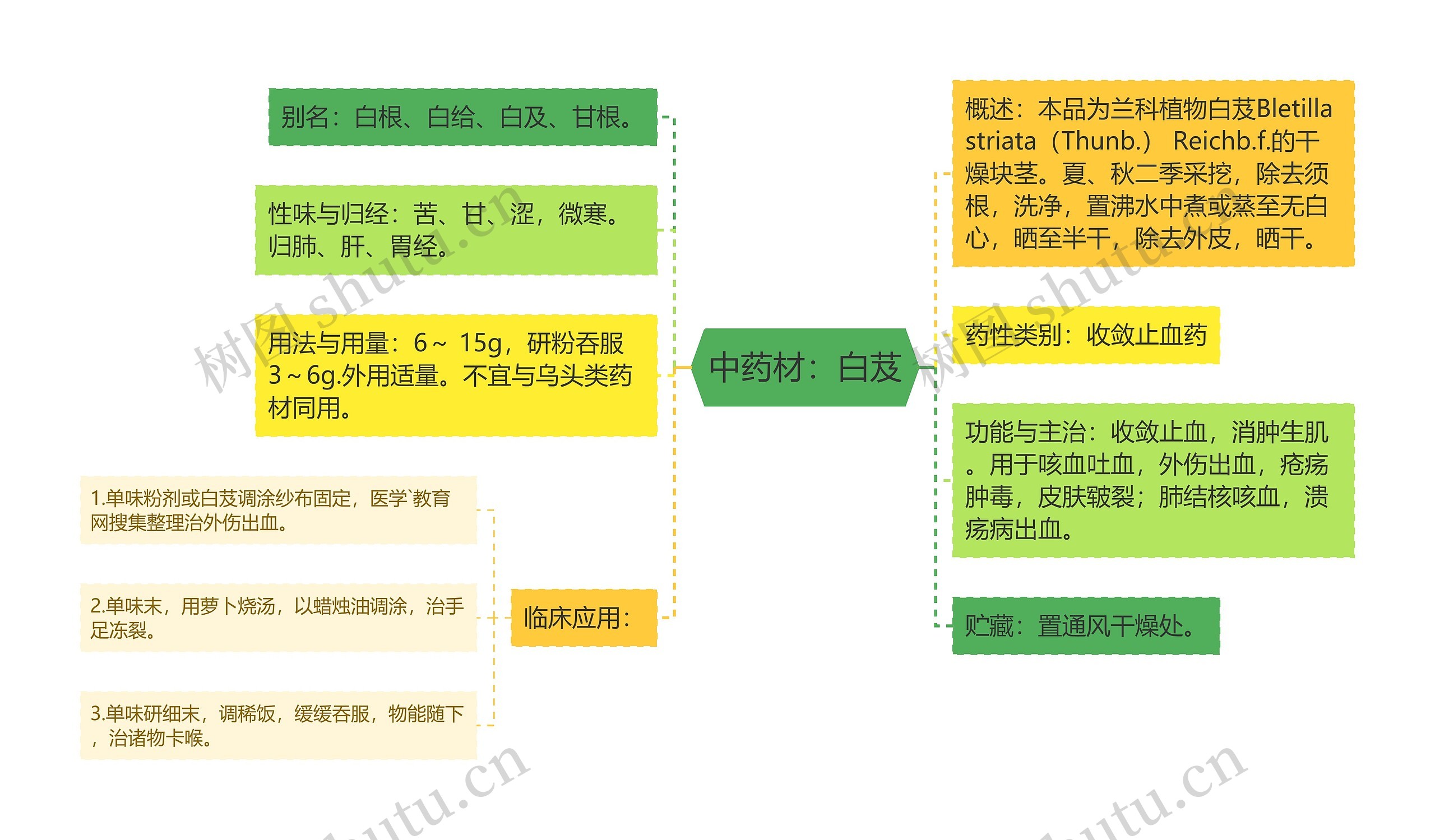 中药材：白芨思维导图