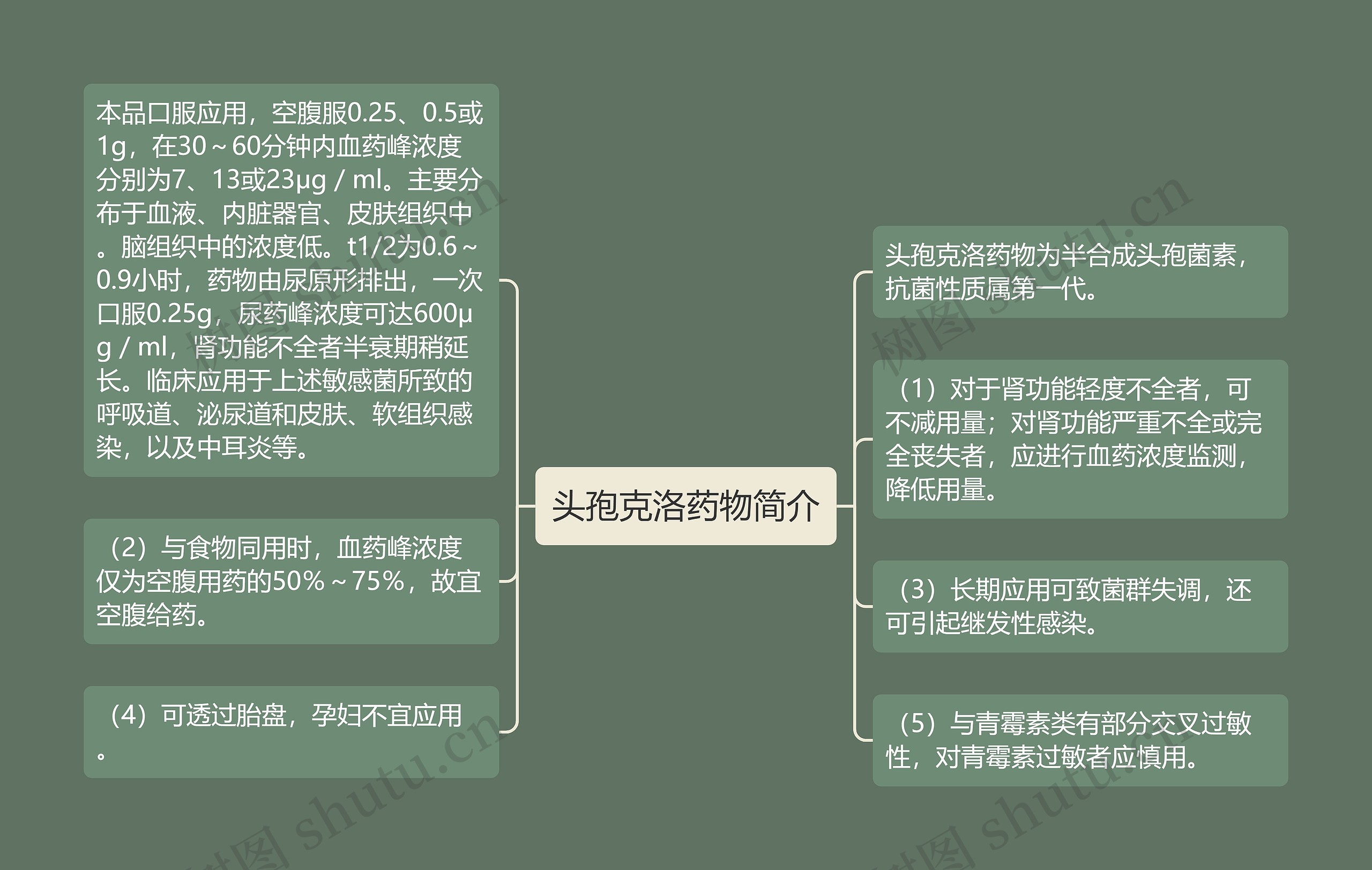 头孢克洛药物简介