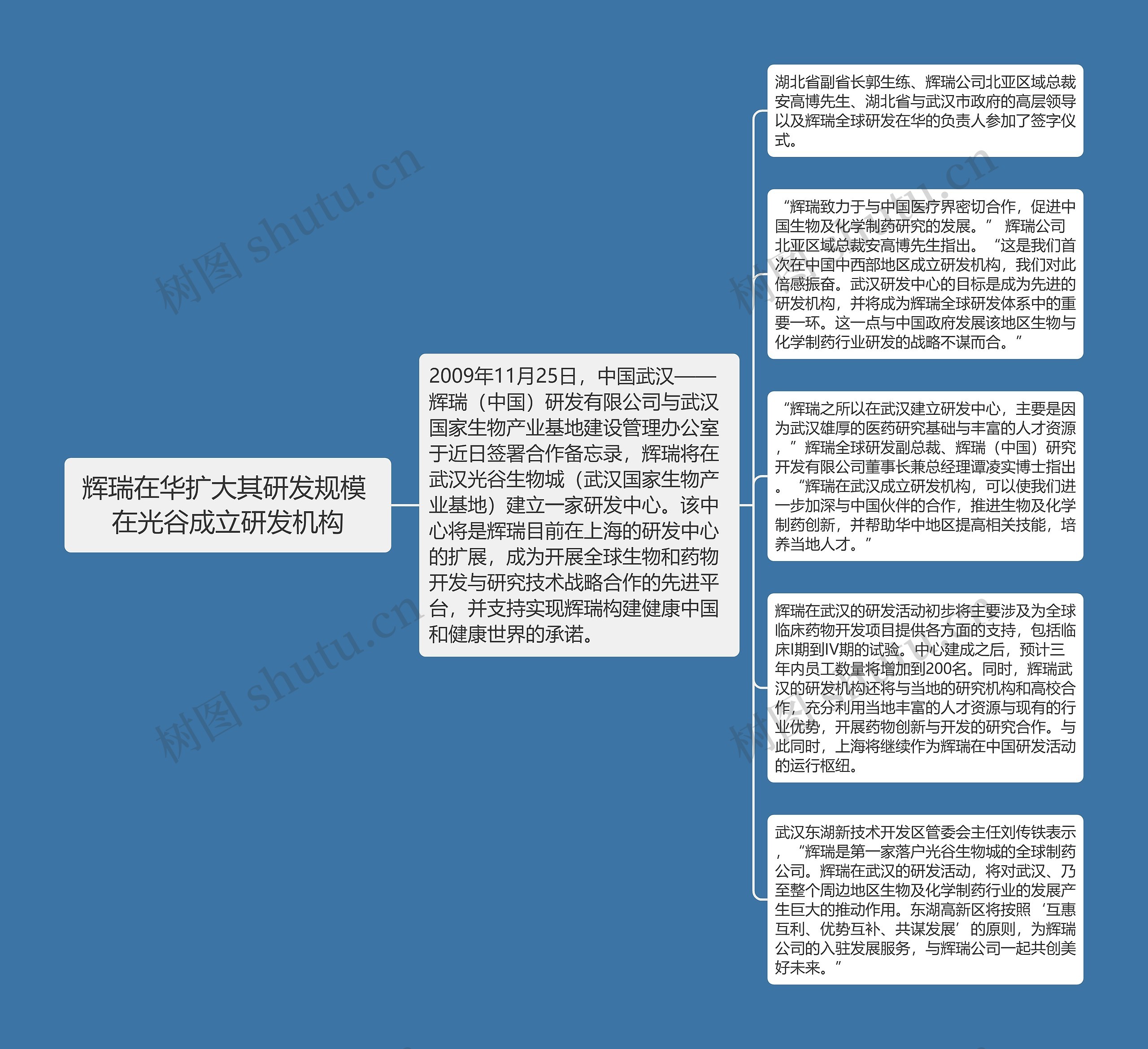 辉瑞在华扩大其研发规模 在光谷成立研发机构思维导图