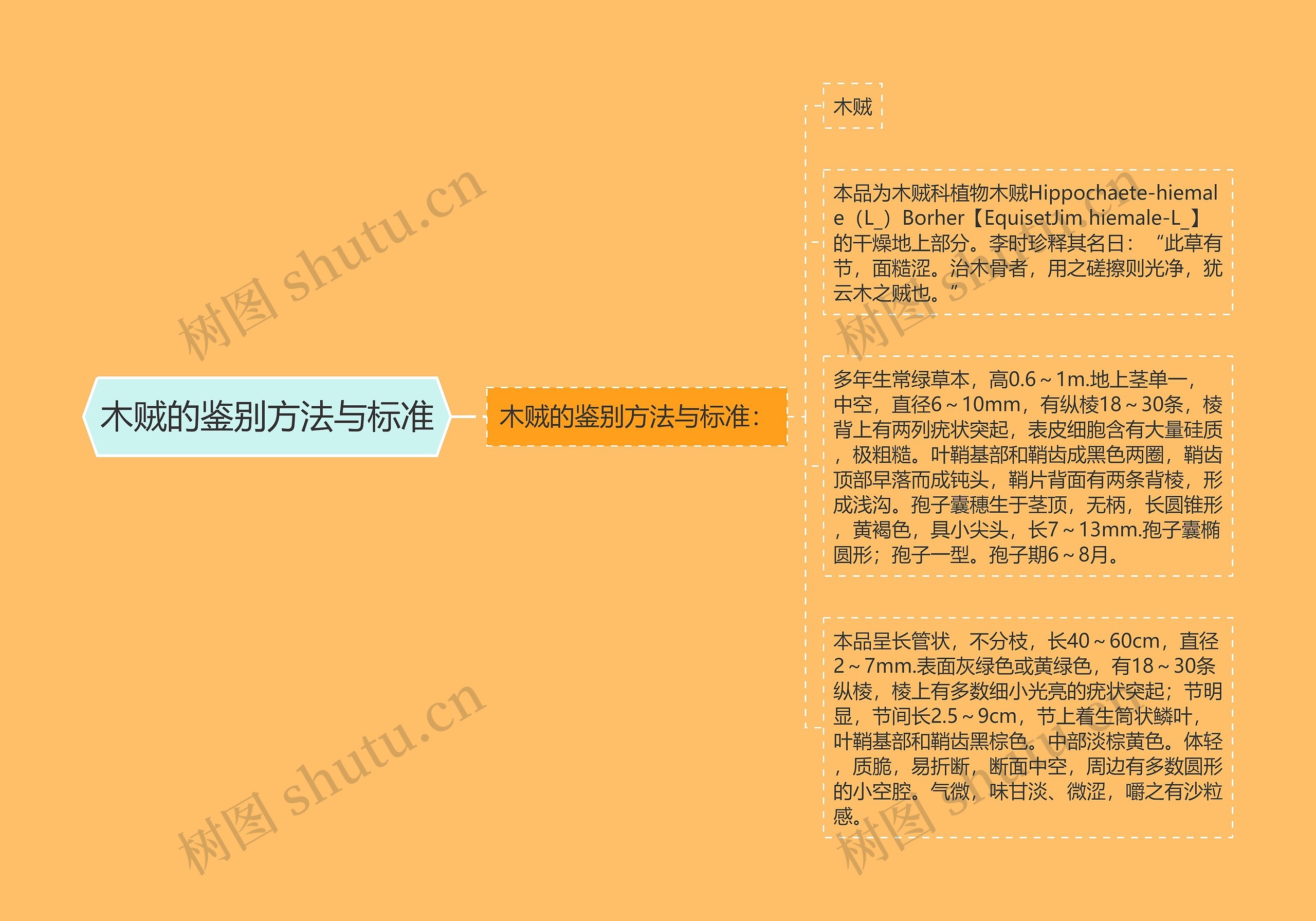 木贼的鉴别方法与标准