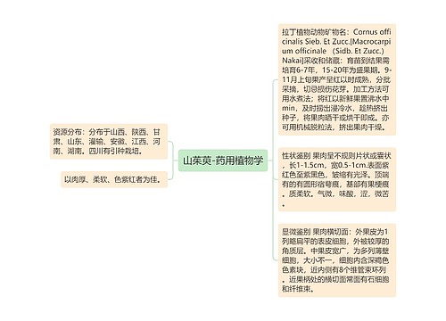 山茱萸-药用植物学