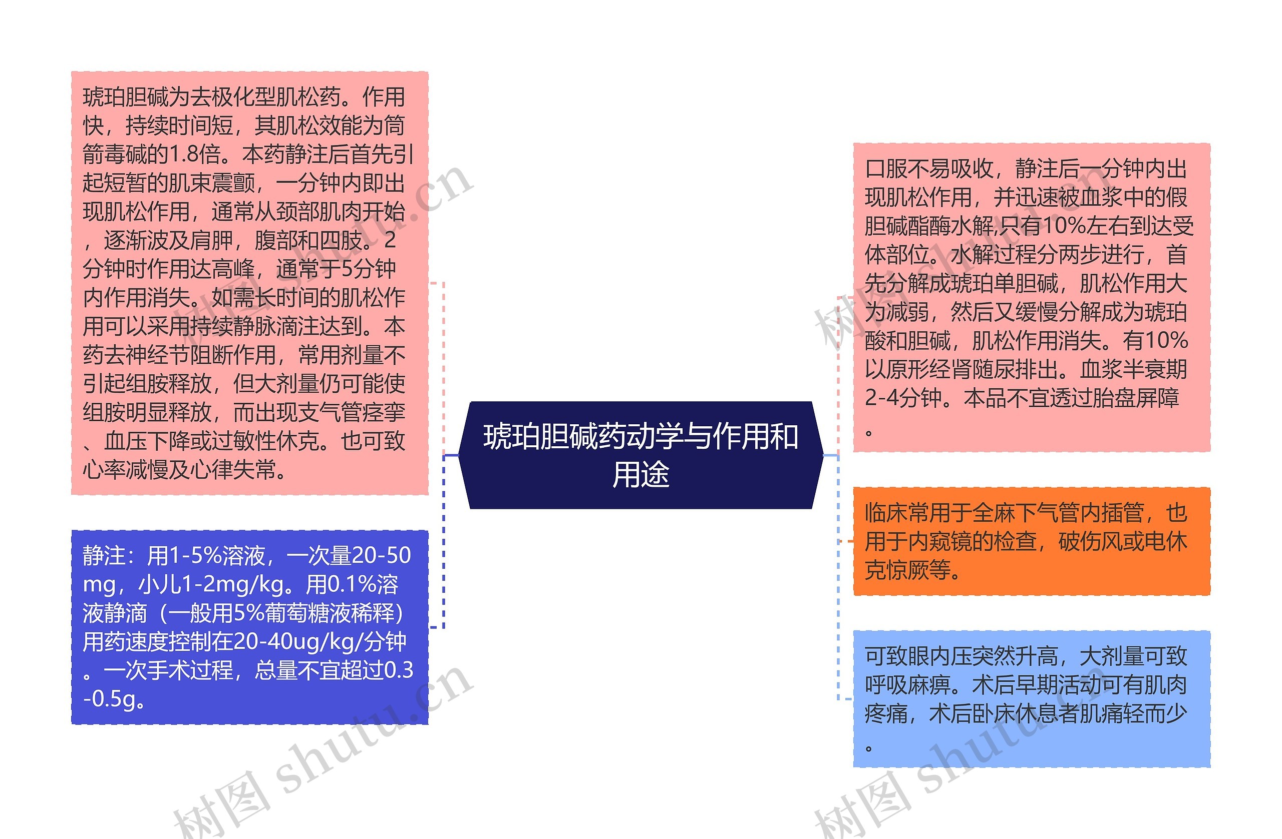 琥珀胆碱药动学与作用和用途思维导图