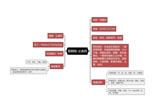 棕榈炭-止血药