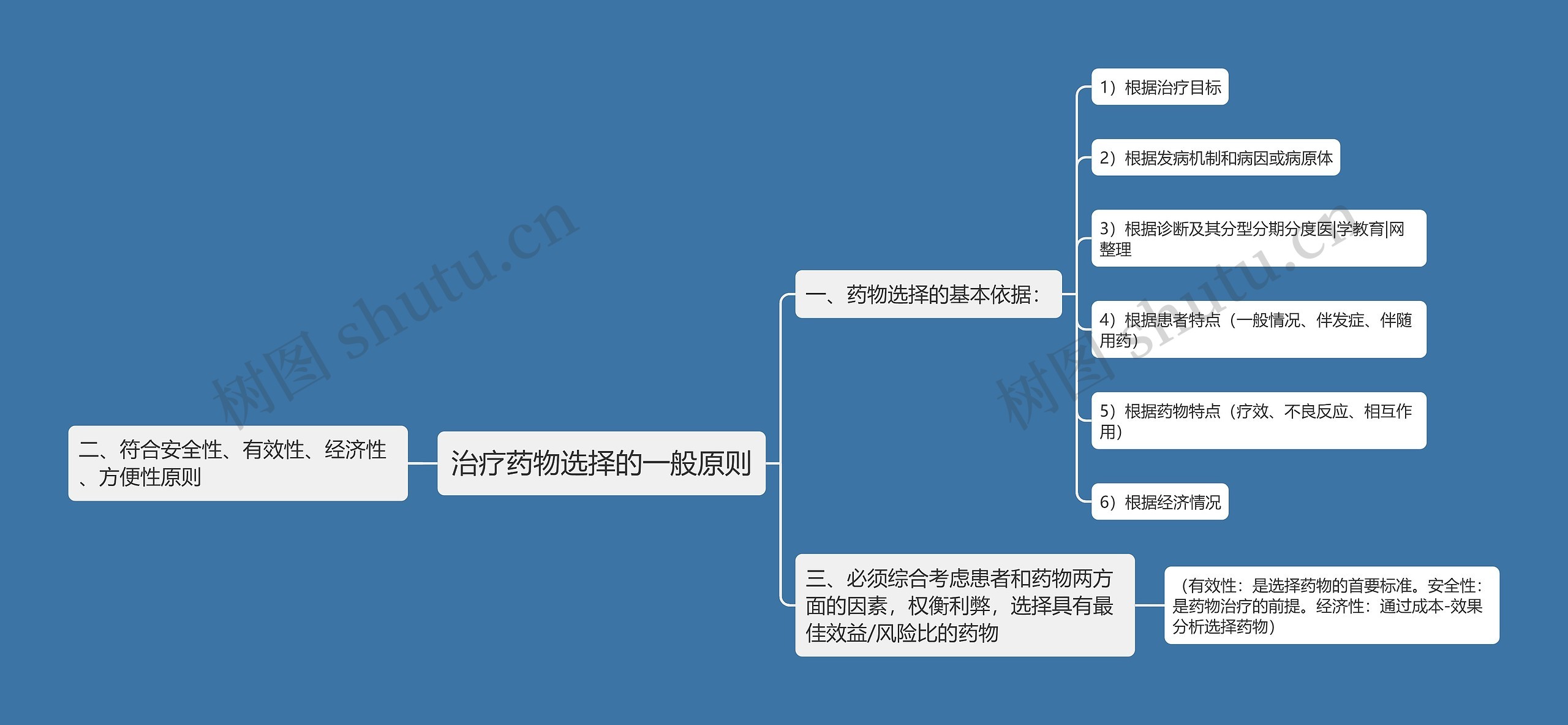 治疗药物选择的一般原则思维导图