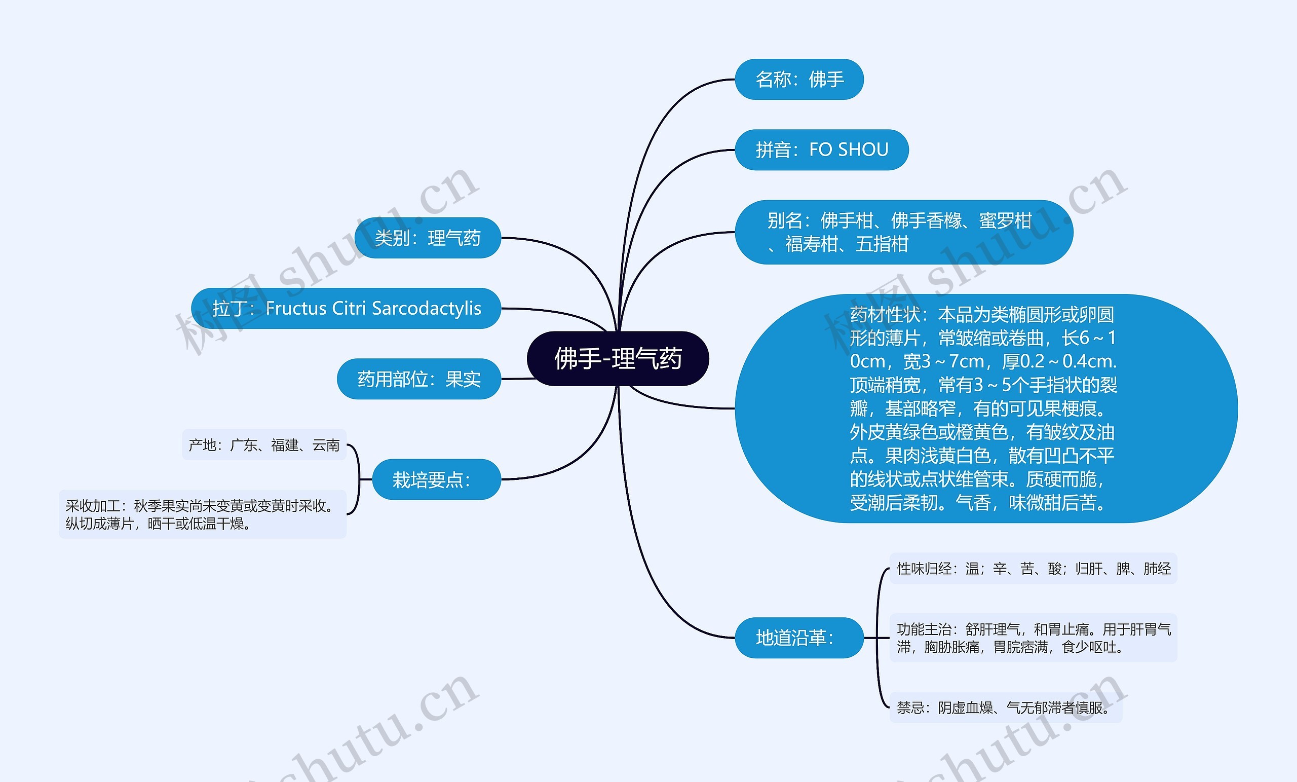 佛手-理气药 佛手-理气药