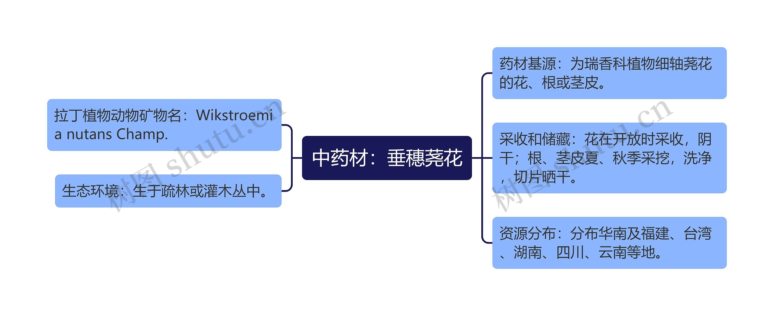 中药材：垂穗荛花思维导图