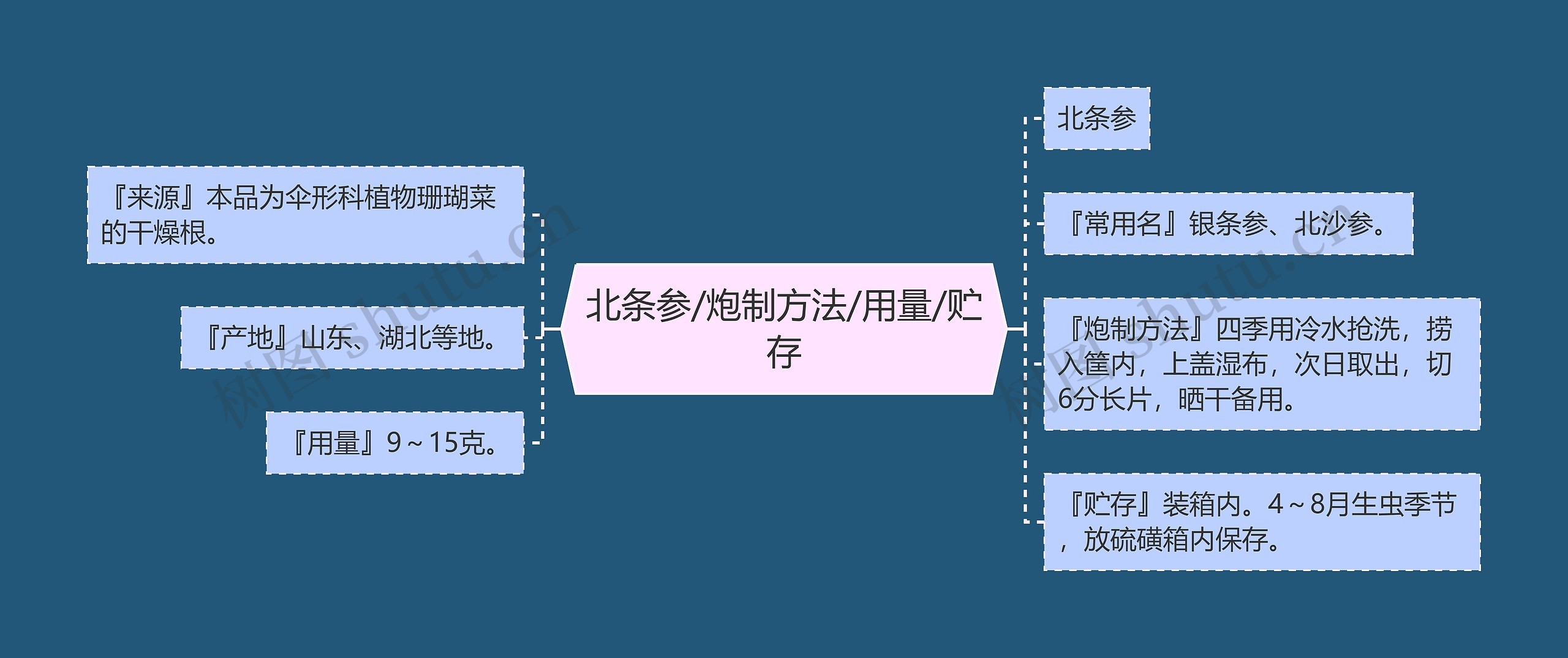 北条参/炮制方法/用量/贮存思维导图