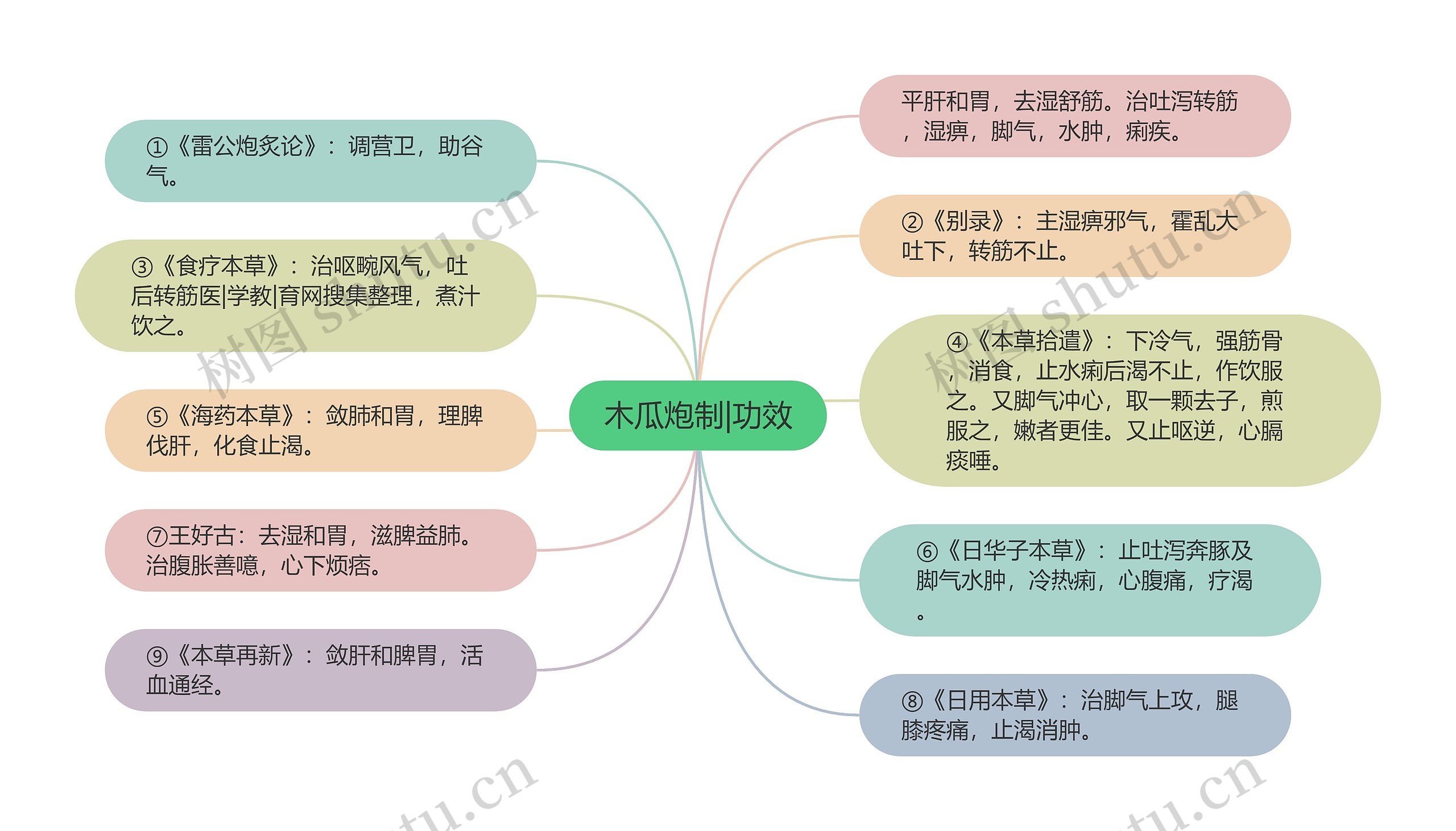 木瓜炮制|功效思维导图