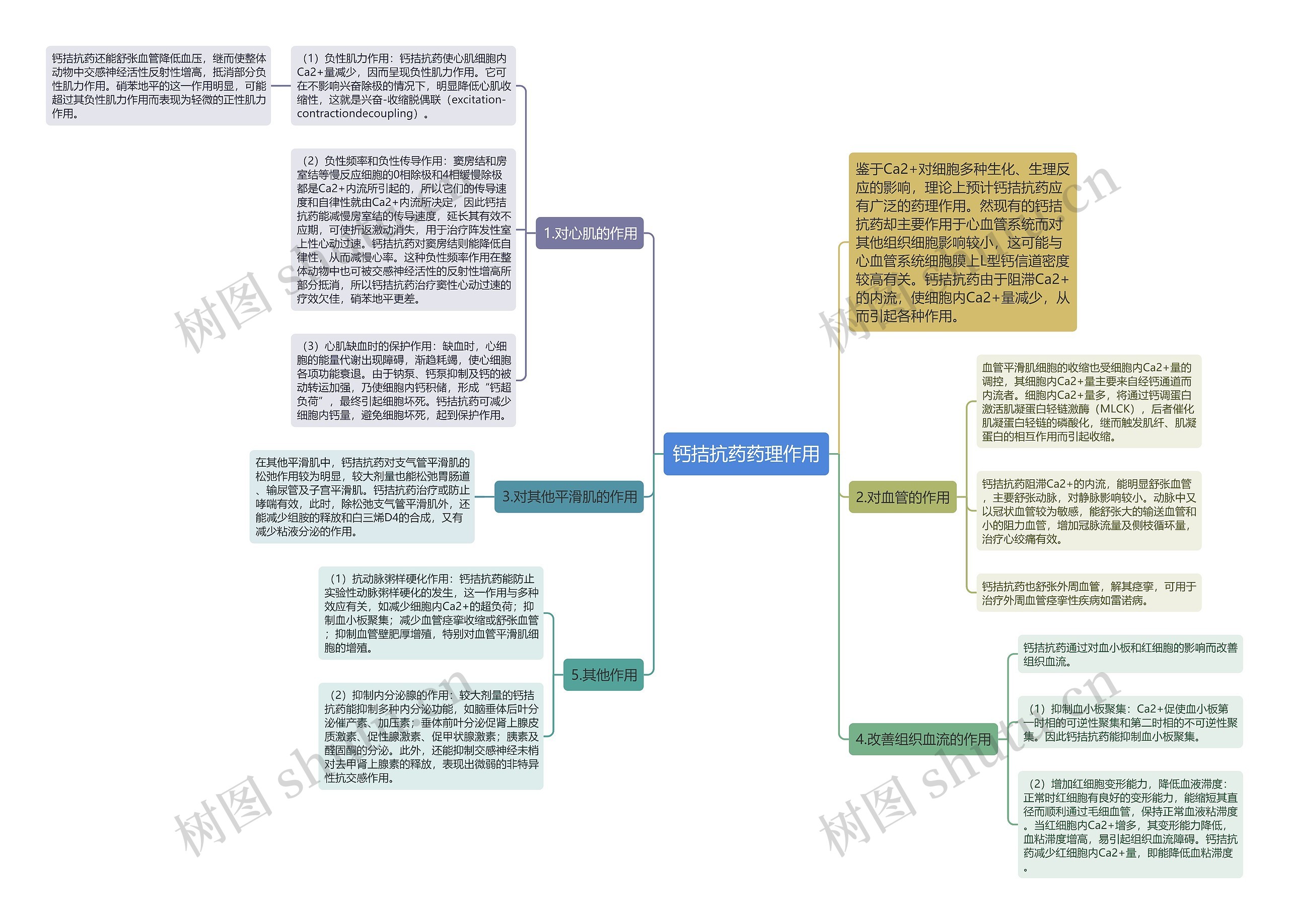 钙拮抗药药理作用思维导图