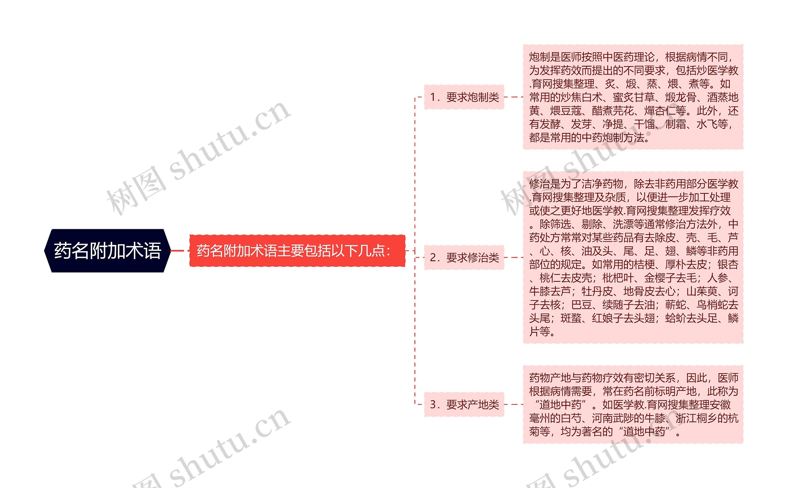 药名附加术语思维导图