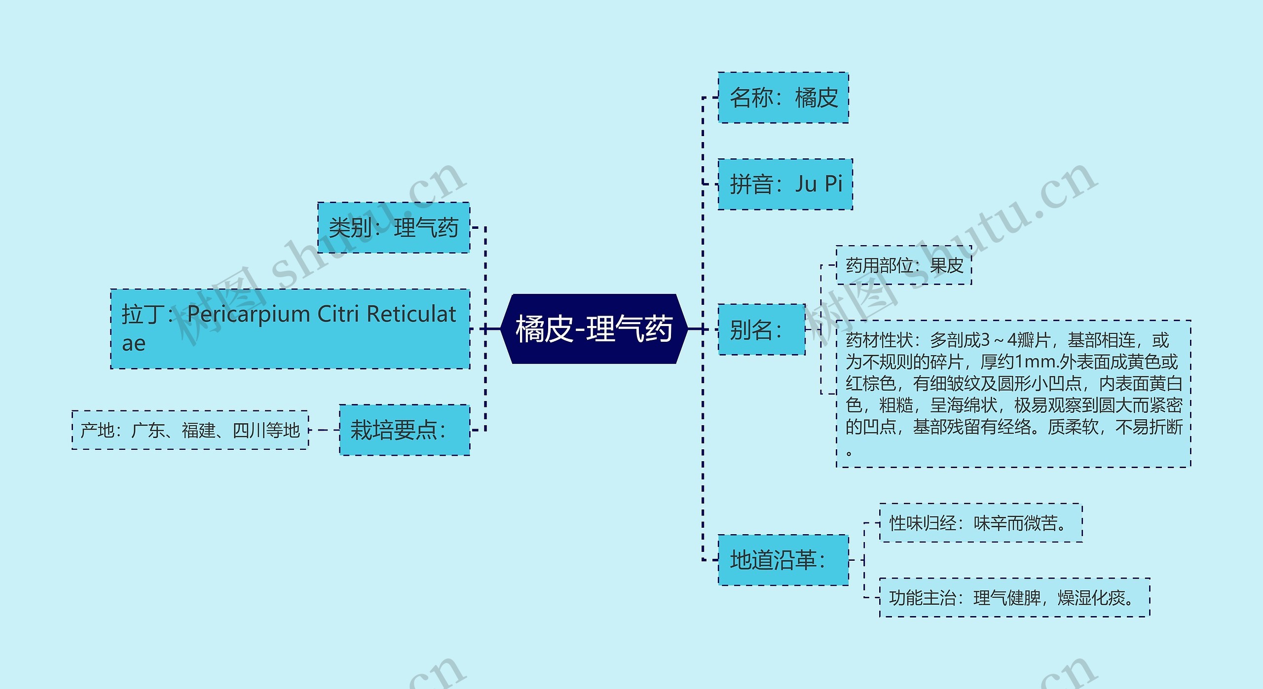 橘皮-理气药思维导图