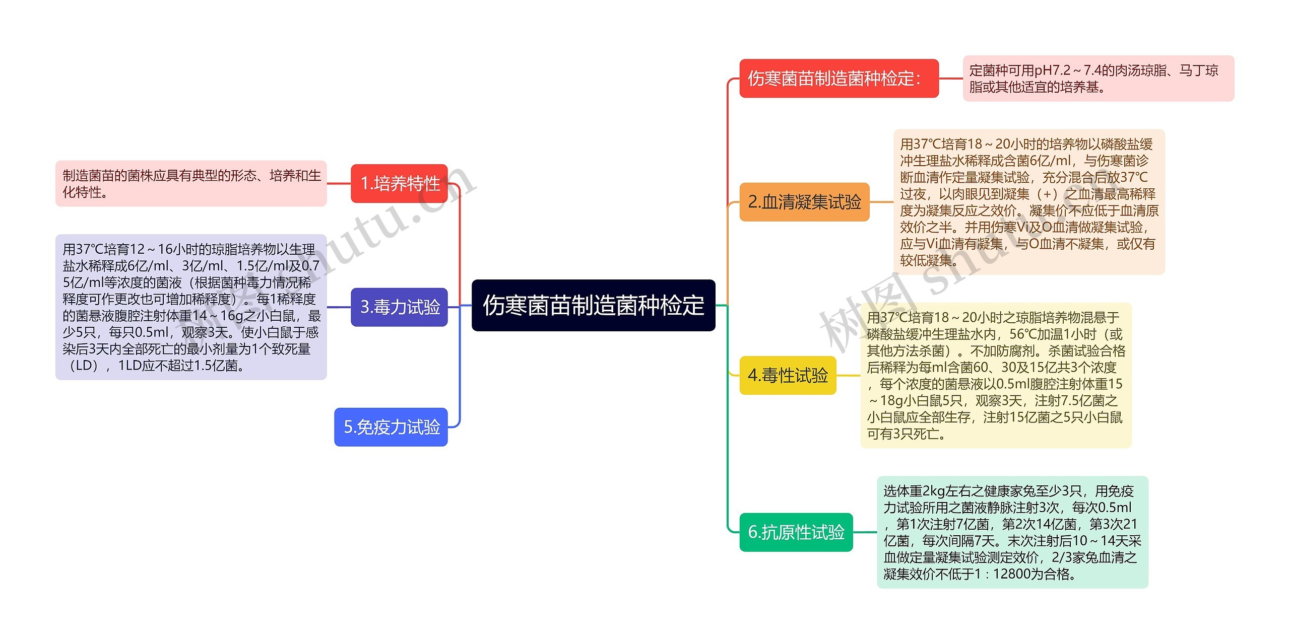 伤寒菌苗制造菌种检定思维导图