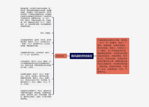 海风藤的药材鉴定