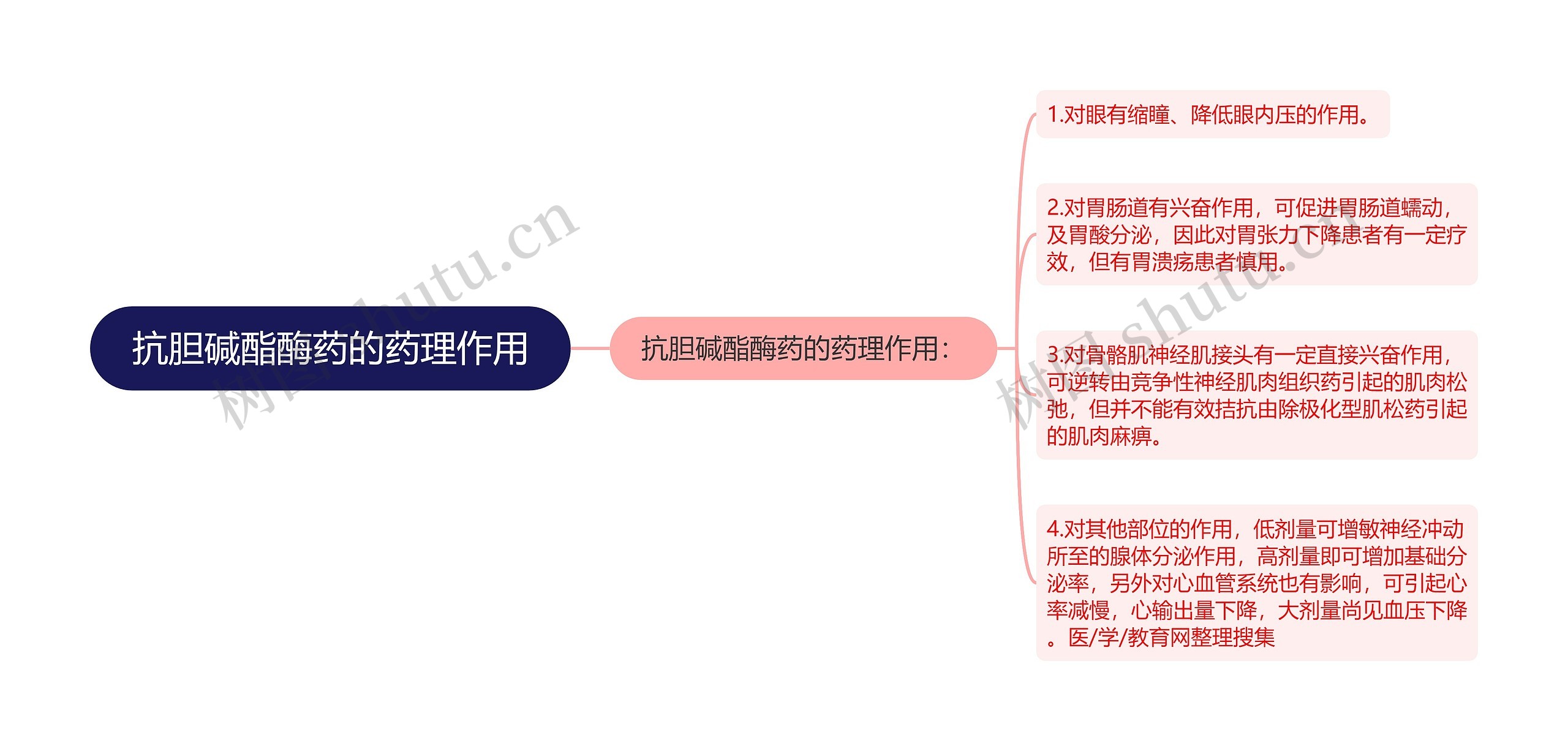 抗胆碱酯酶药的药理作用思维导图